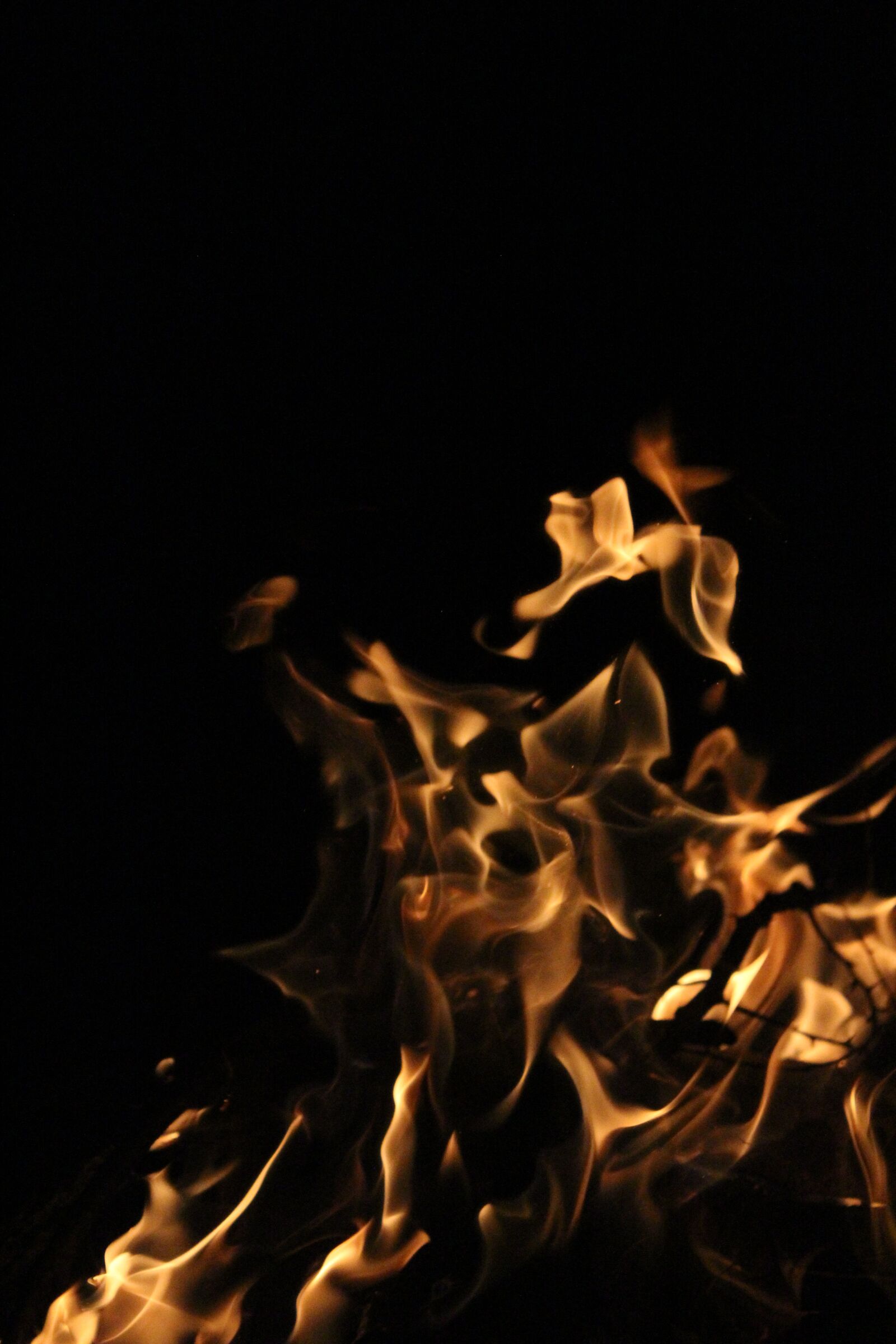 Canon EOS 600D (Rebel EOS T3i / EOS Kiss X5) sample photo. Fire, cam, camping photography