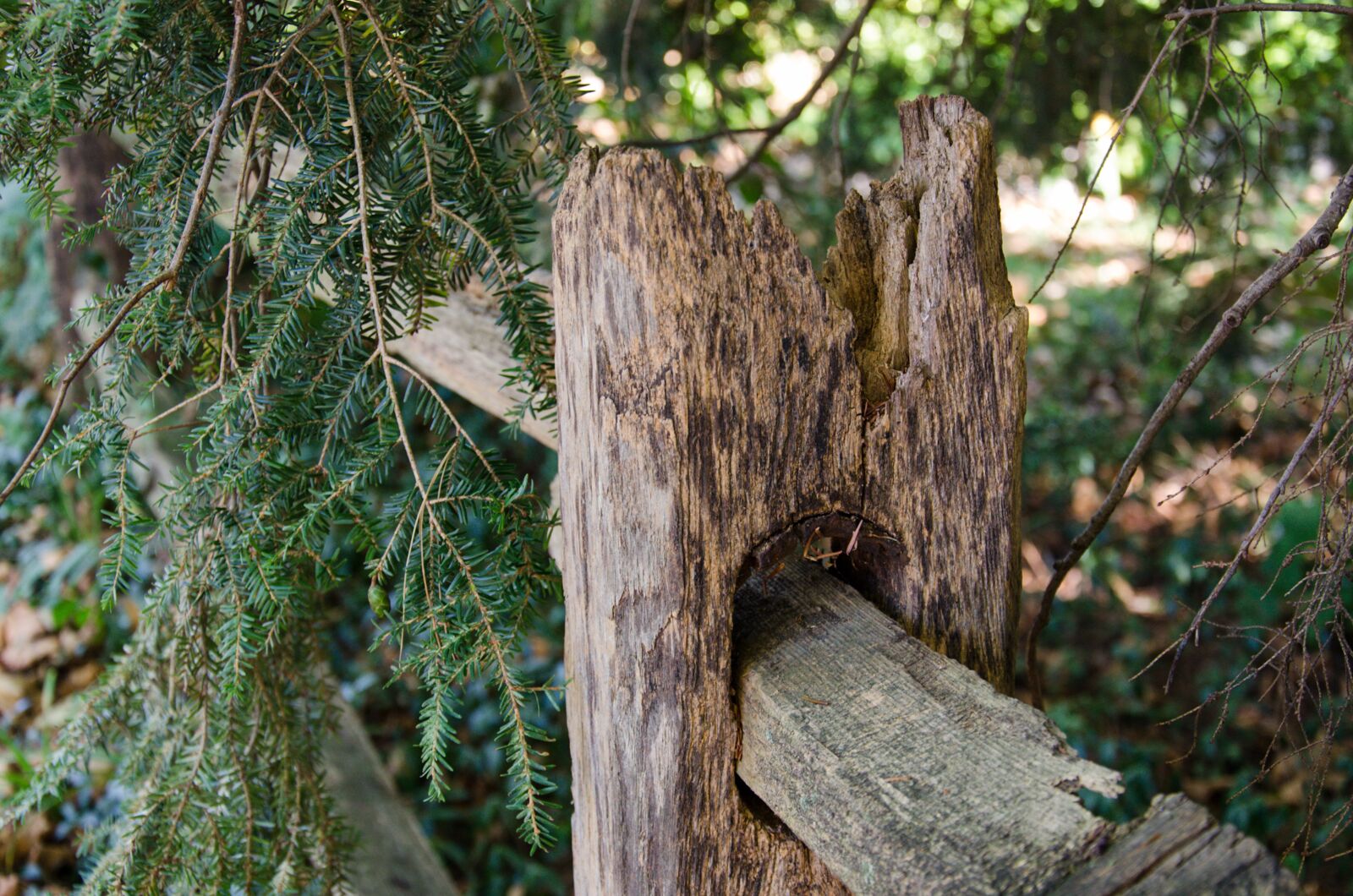 Nikon D7000 sample photo. Fence, weathered, summer photography
