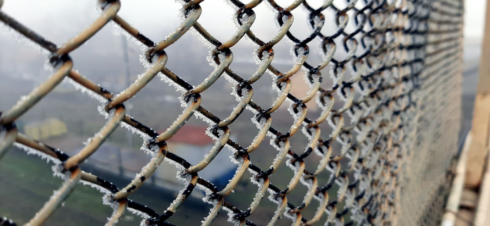 Samsung SM-A505F sample photo. Fence, cold, winter photography