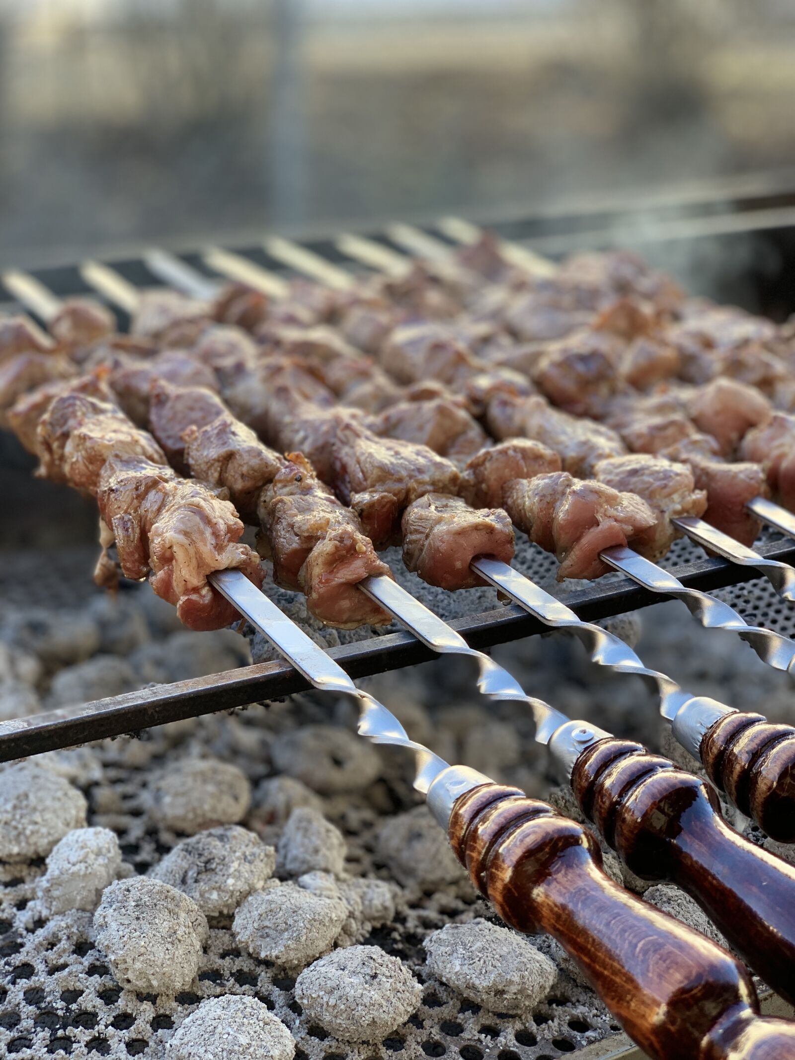 iPhone XS back dual camera 6mm f/2.4 sample photo. Shish kebab, homemade, eat photography