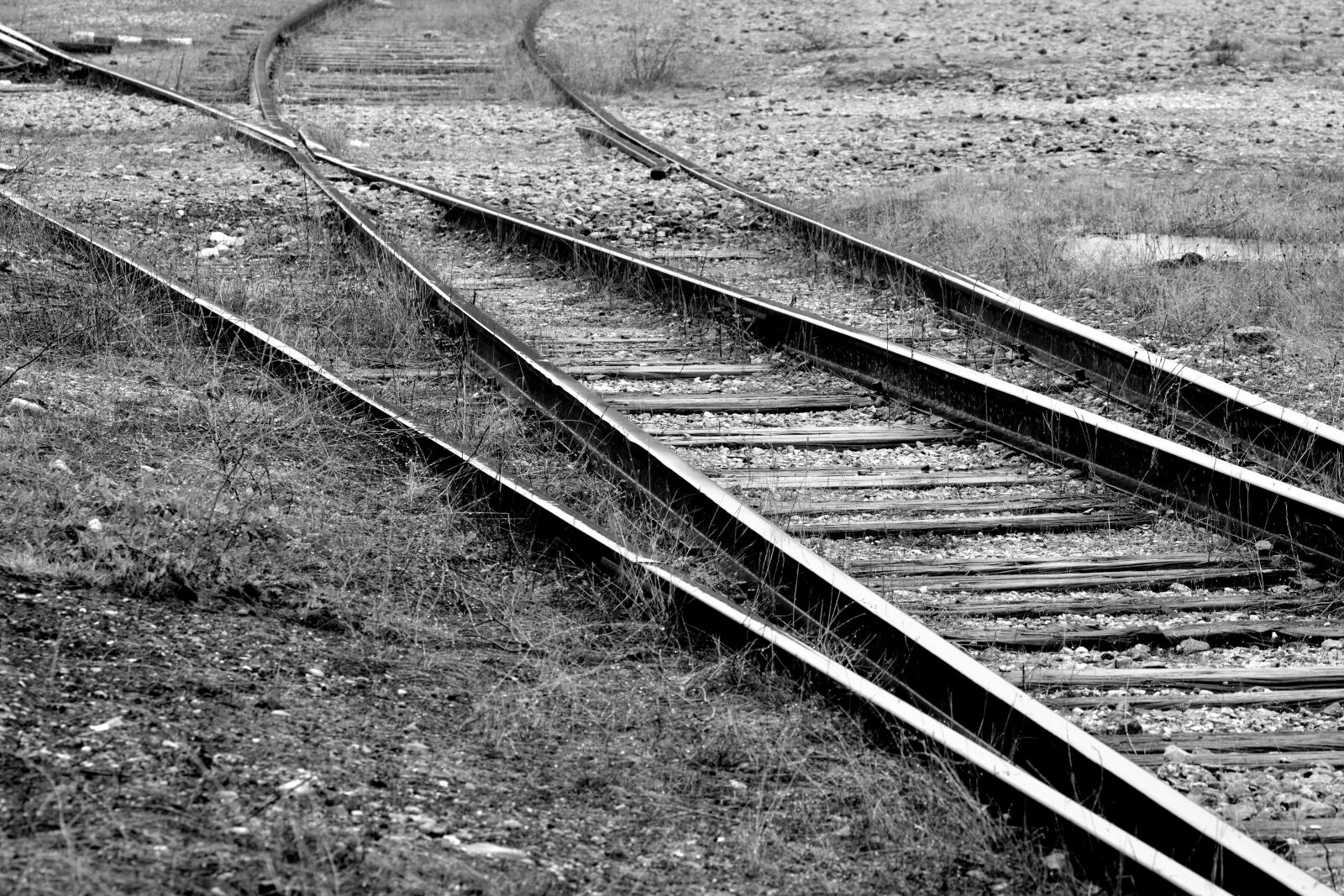 Nikon D5200 sample photo. Train, railway, transport photography