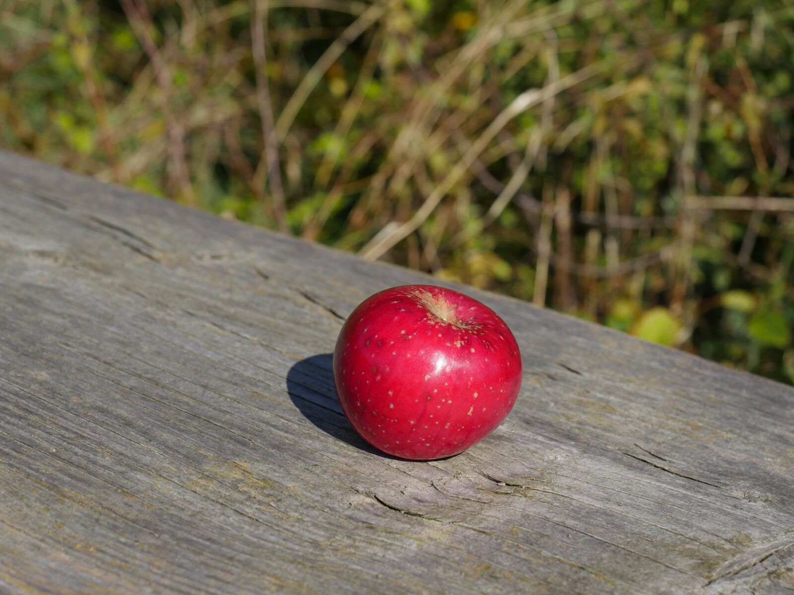 Panasonic Lumix DMC-GX8 sample photo. Apple, fruit, red photography