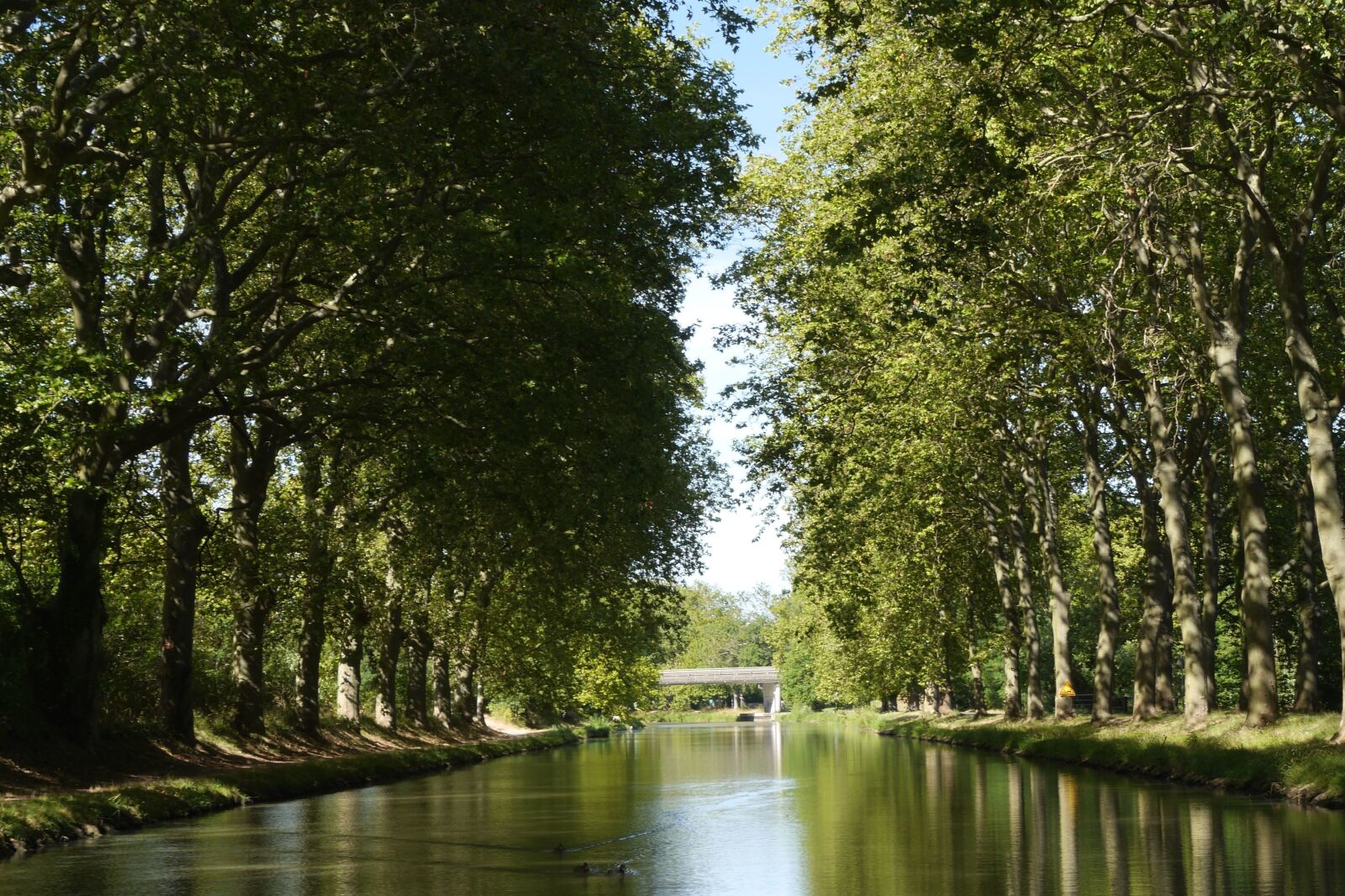 Panasonic Lumix DMC-GH3 sample photo. Forest, channel, water, wood photography