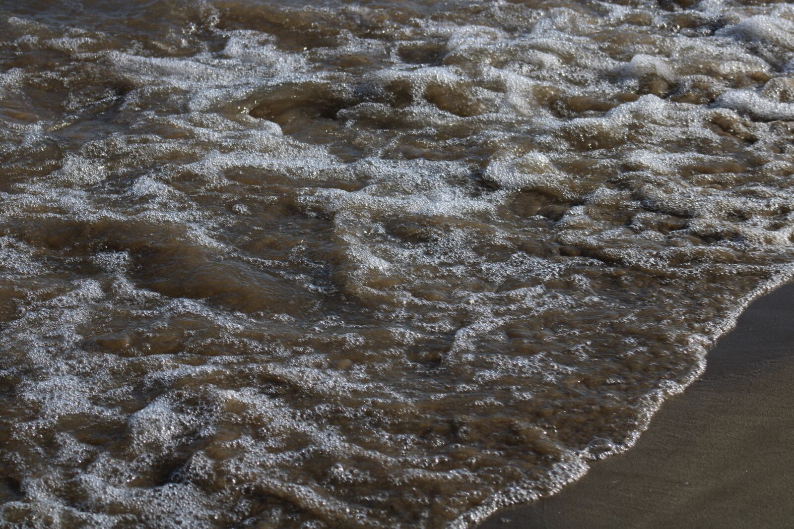 Canon EOS 2000D (EOS Rebel T7 / EOS Kiss X90 / EOS 1500D) sample photo. Escape, sea, nature photography