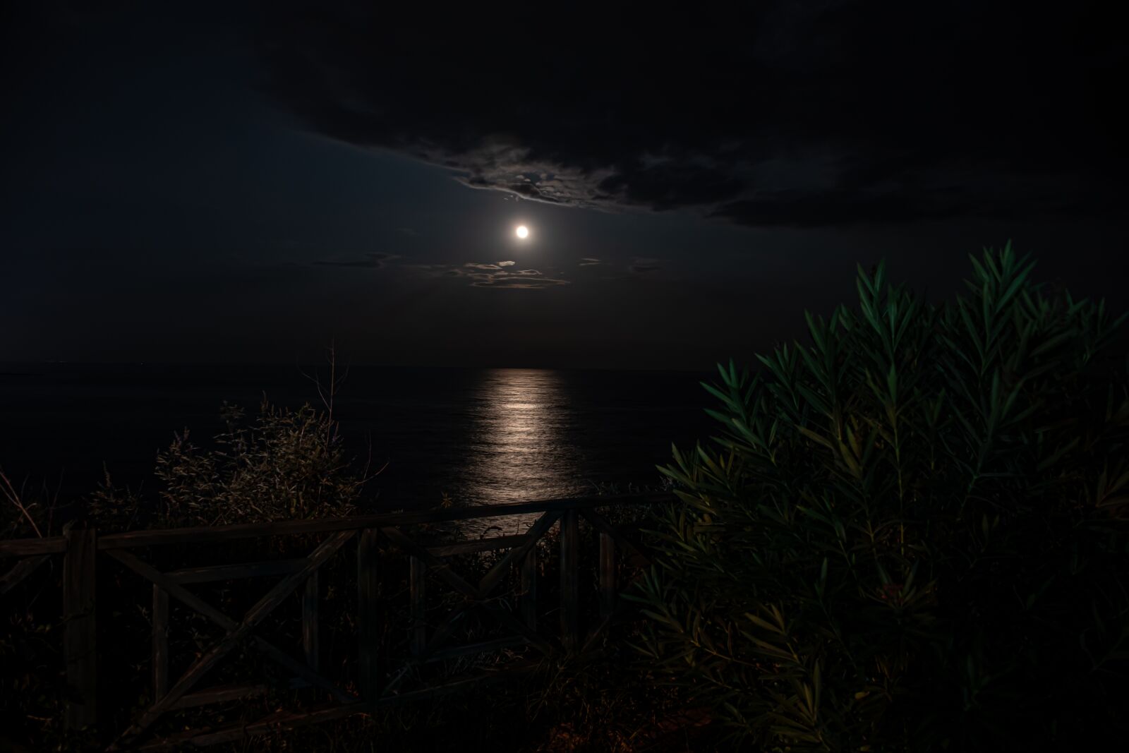 Nikon D5600 sample photo. Night, moon, moonlight photography