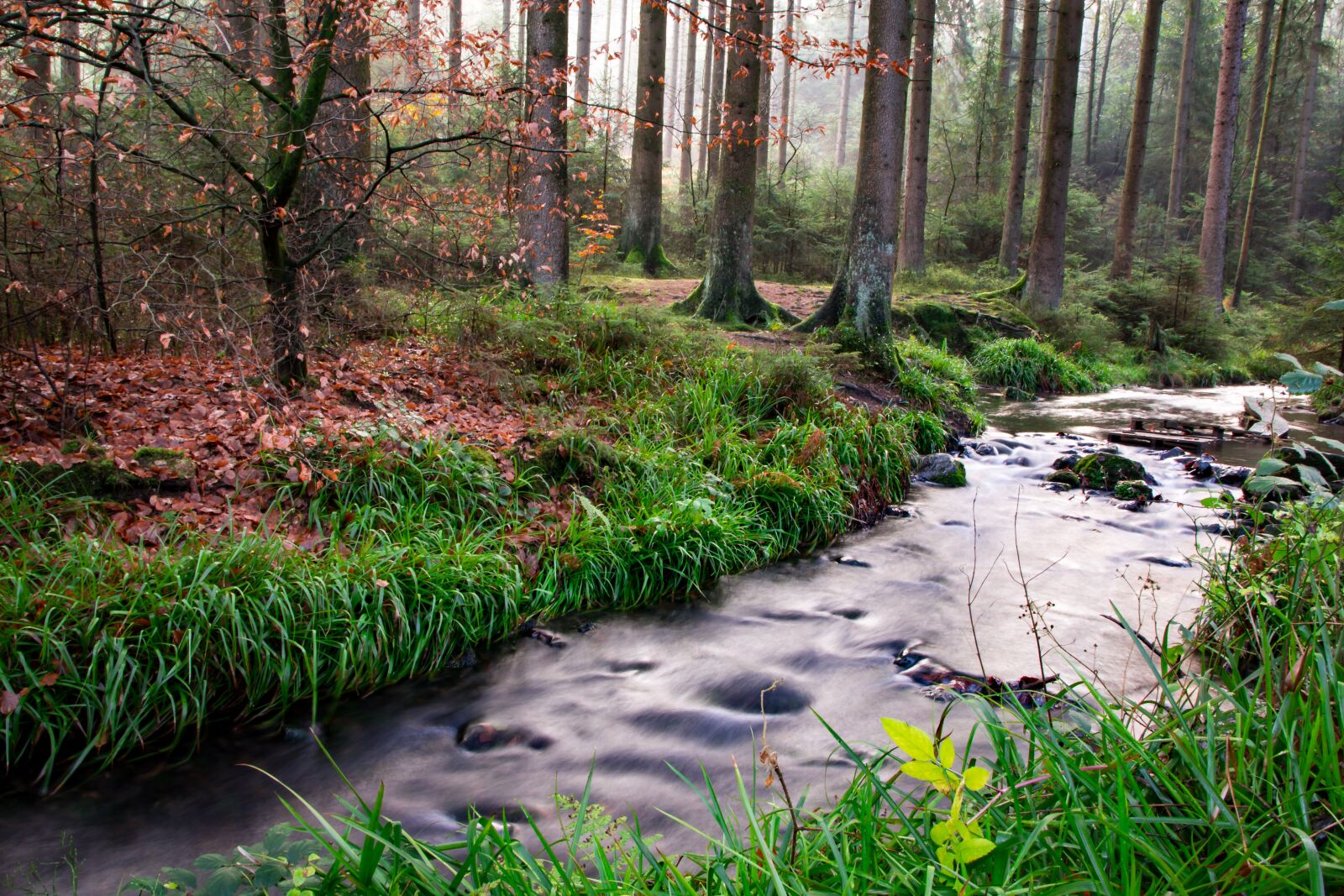 Canon EOS 700D (EOS Rebel T5i / EOS Kiss X7i) sample photo. Teutoburg forest, silver valley photography