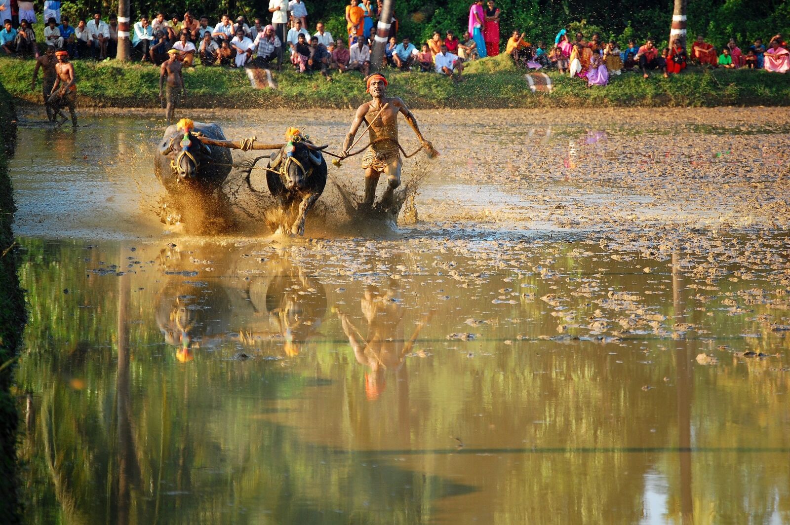 Nikon D40 sample photo. Kambala race, rural sports photography
