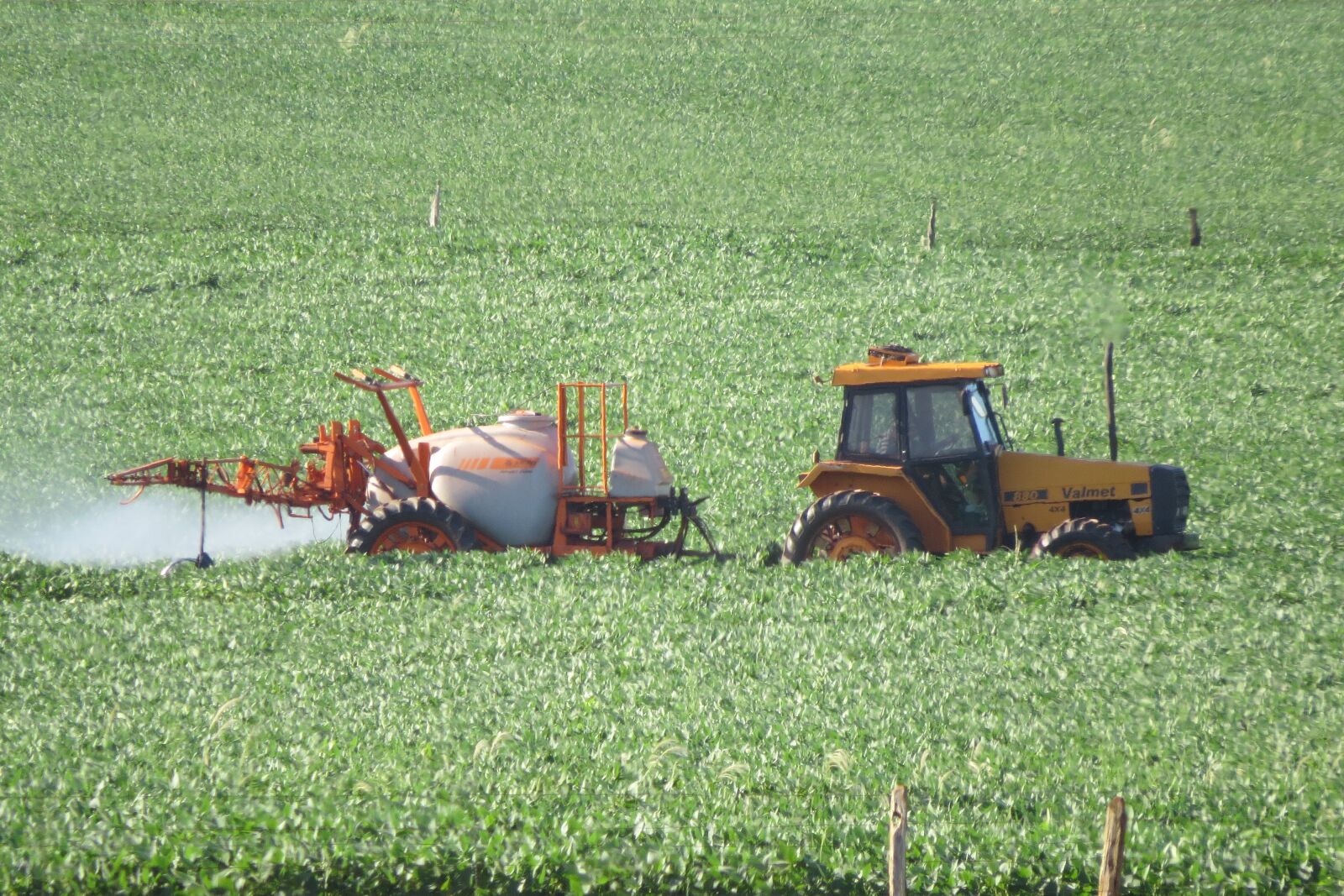 Canon PowerShot SX50 HS sample photo. Tractor, field, agriculture photography