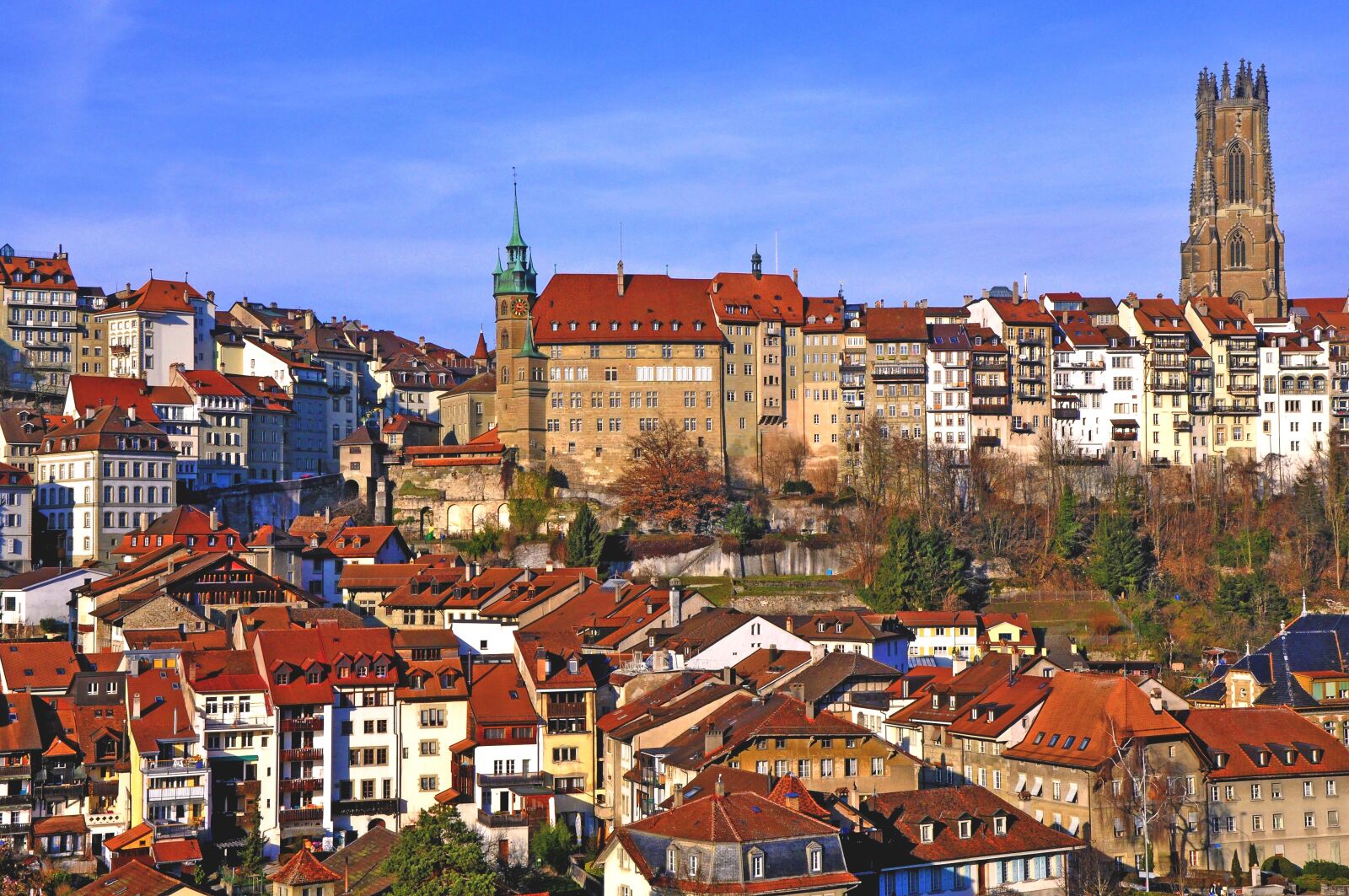 Nikon D90 sample photo. City, freiburg, fribourg photography