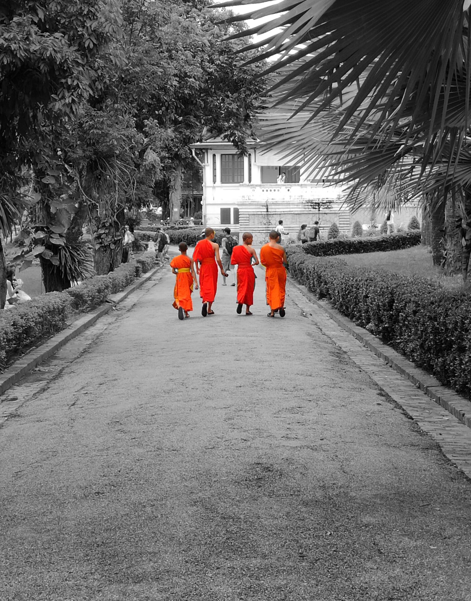 Xiaomi Mi 9 SE sample photo. Monks, buddhism, laos photography