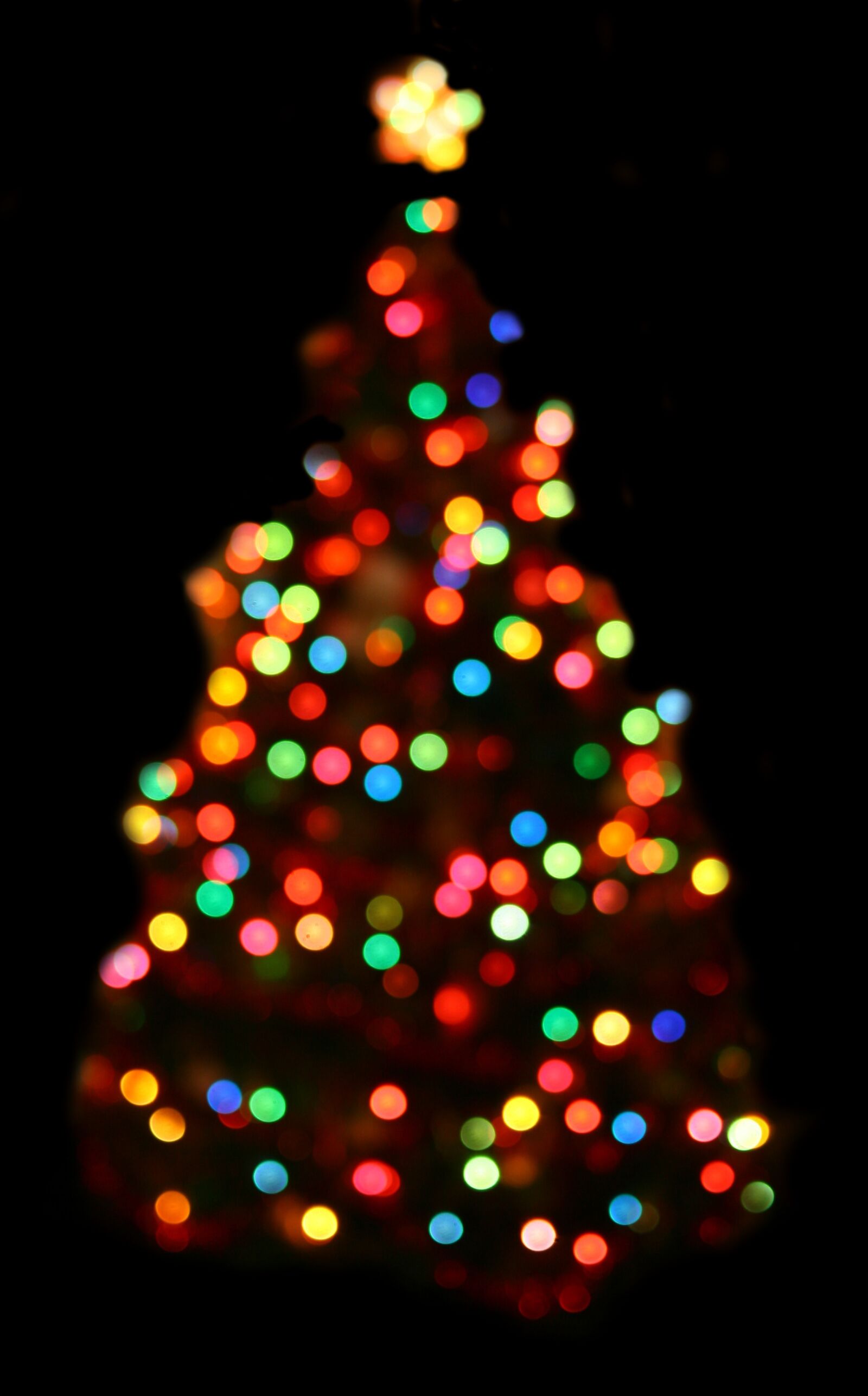 Canon EOS 400D (EOS Digital Rebel XTi / EOS Kiss Digital X) sample photo. Bokah, tree, overlay photography