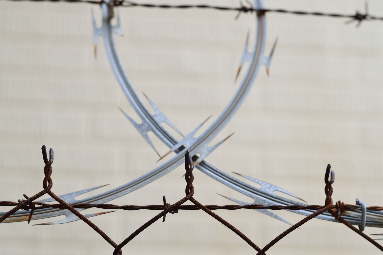 Nikon D3200 sample photo. Barbed, wire, barrier, blur photography