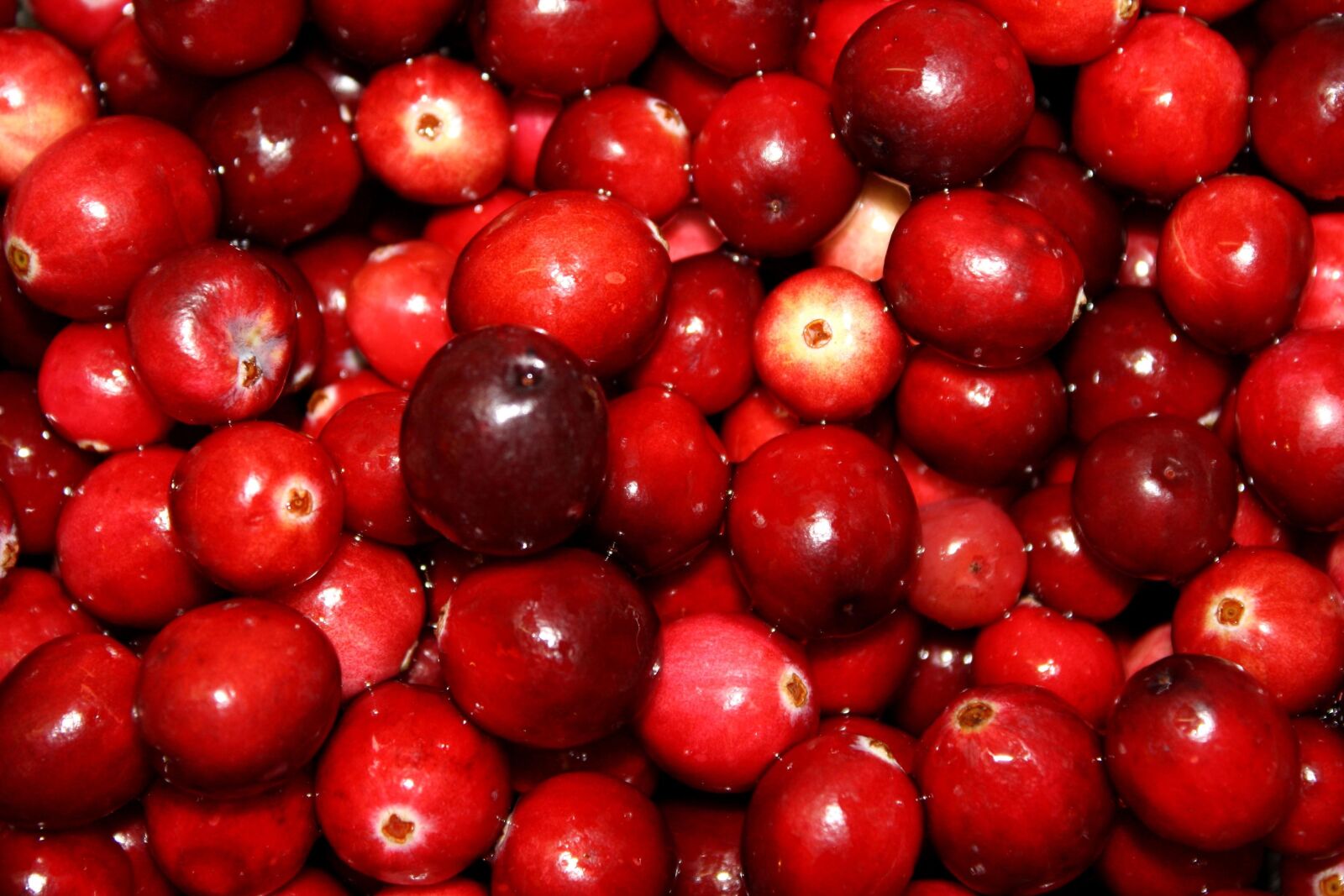 f/3.5-5.6 IS sample photo. Cranberries, fruit photography