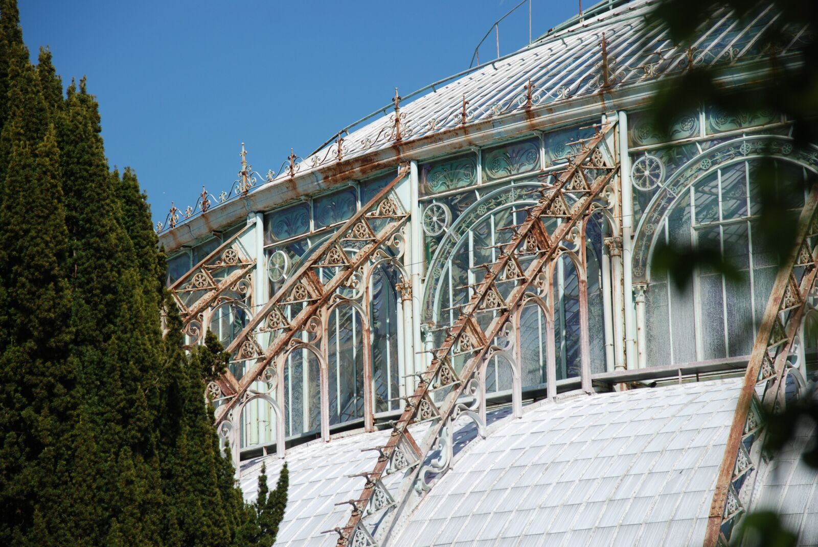 Nikon D80 sample photo. Botanical gardens, brussels, belgium photography