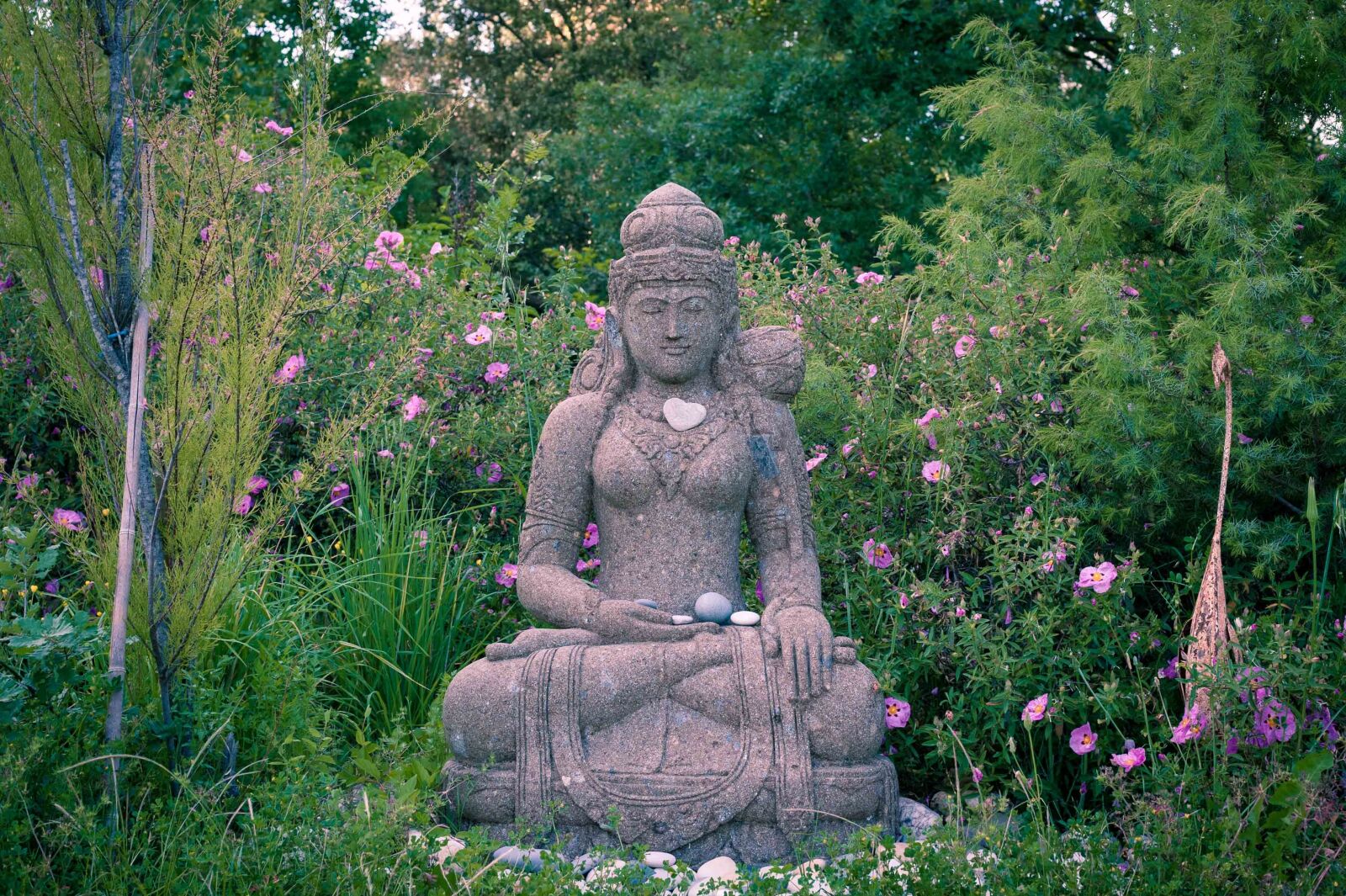 Nikon D700 sample photo. Nature, buddha, meditation photography