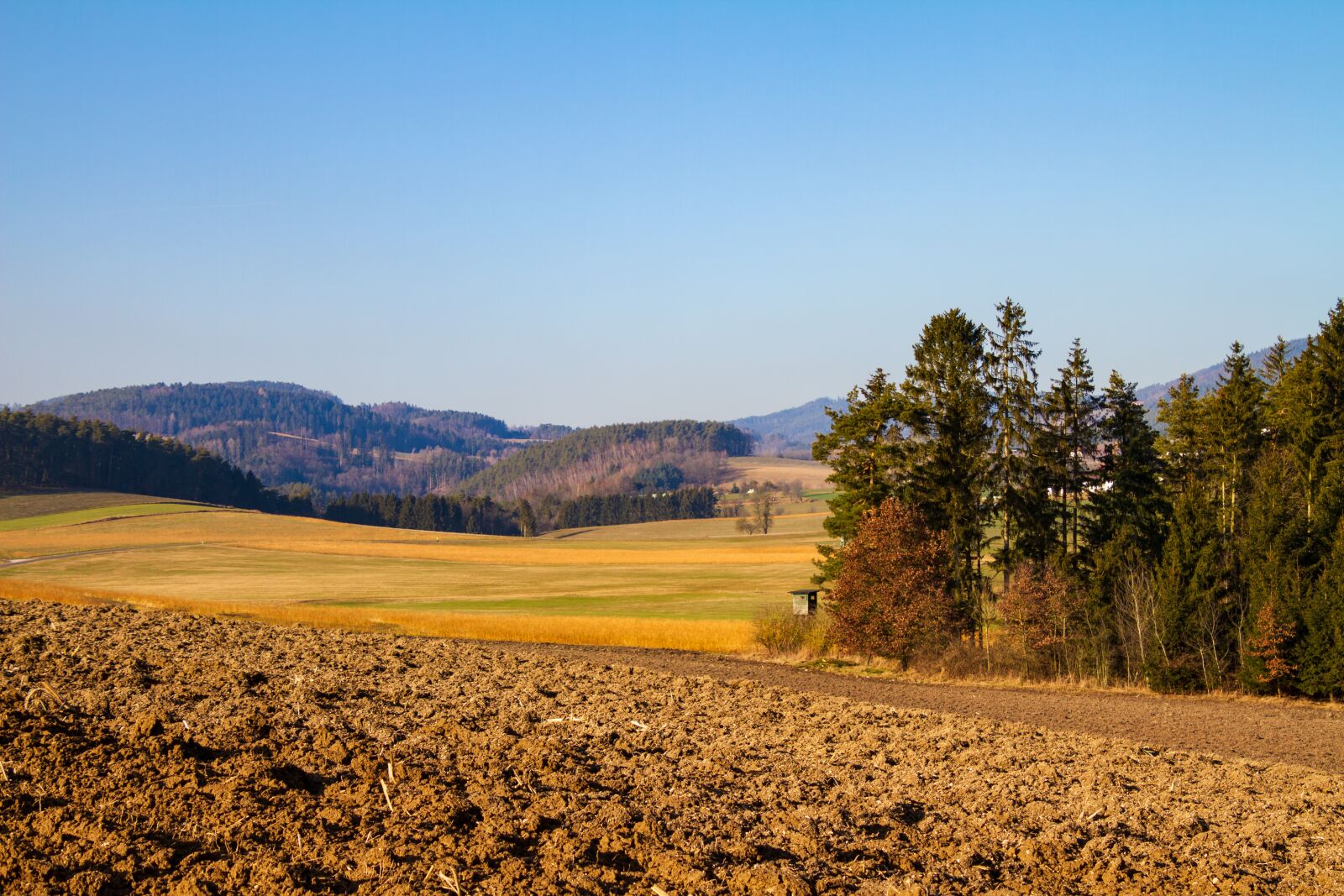 Canon EOS 7D sample photo. Landscape, trees, nature photography