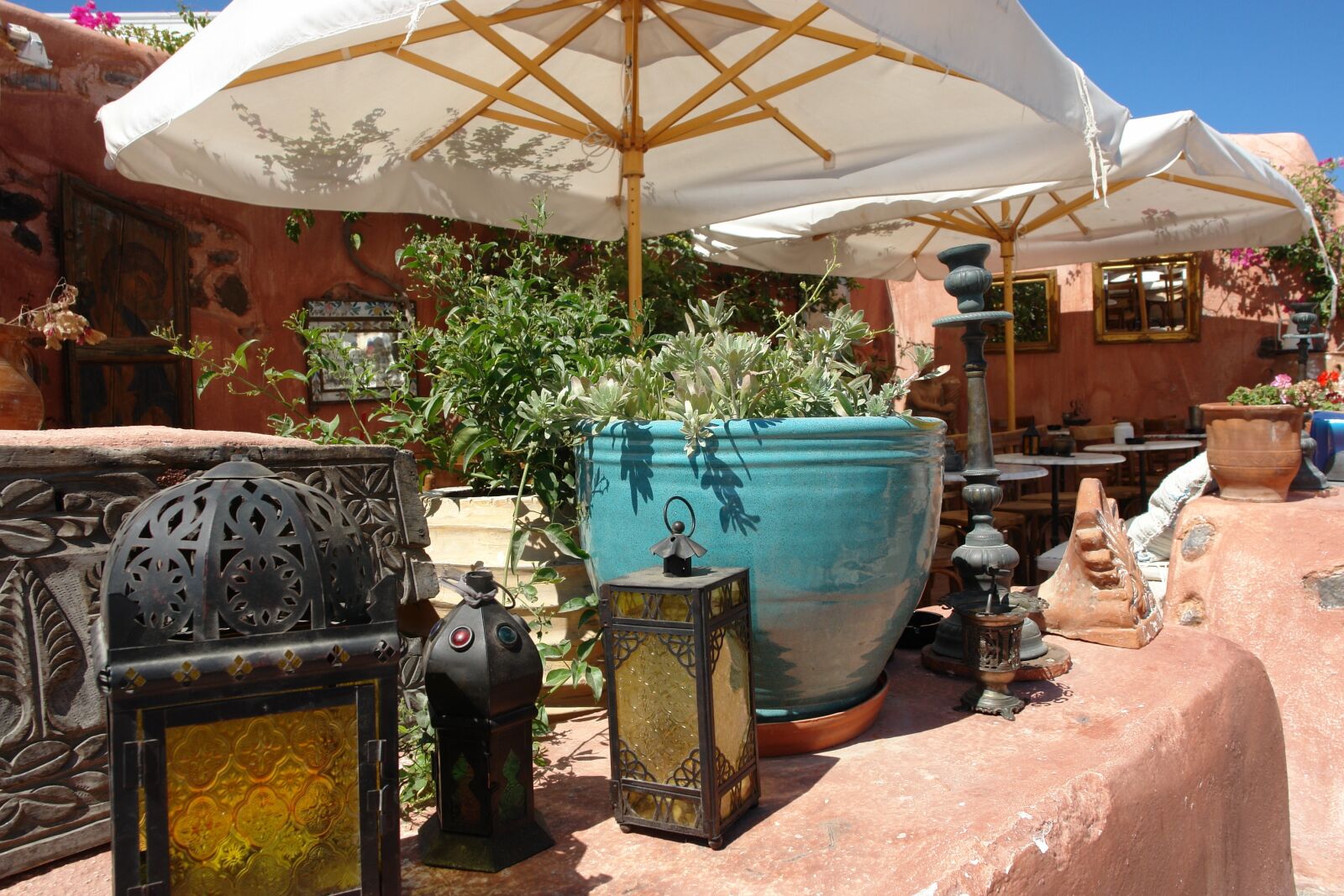 Sony DSC-R1 sample photo. Garden, greece, coffee photography