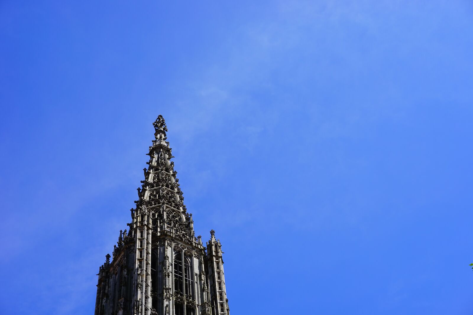 Sony a7 + Sony Sonnar T* FE 55mm F1.8 ZA sample photo. Ulm cathedral, m nster photography