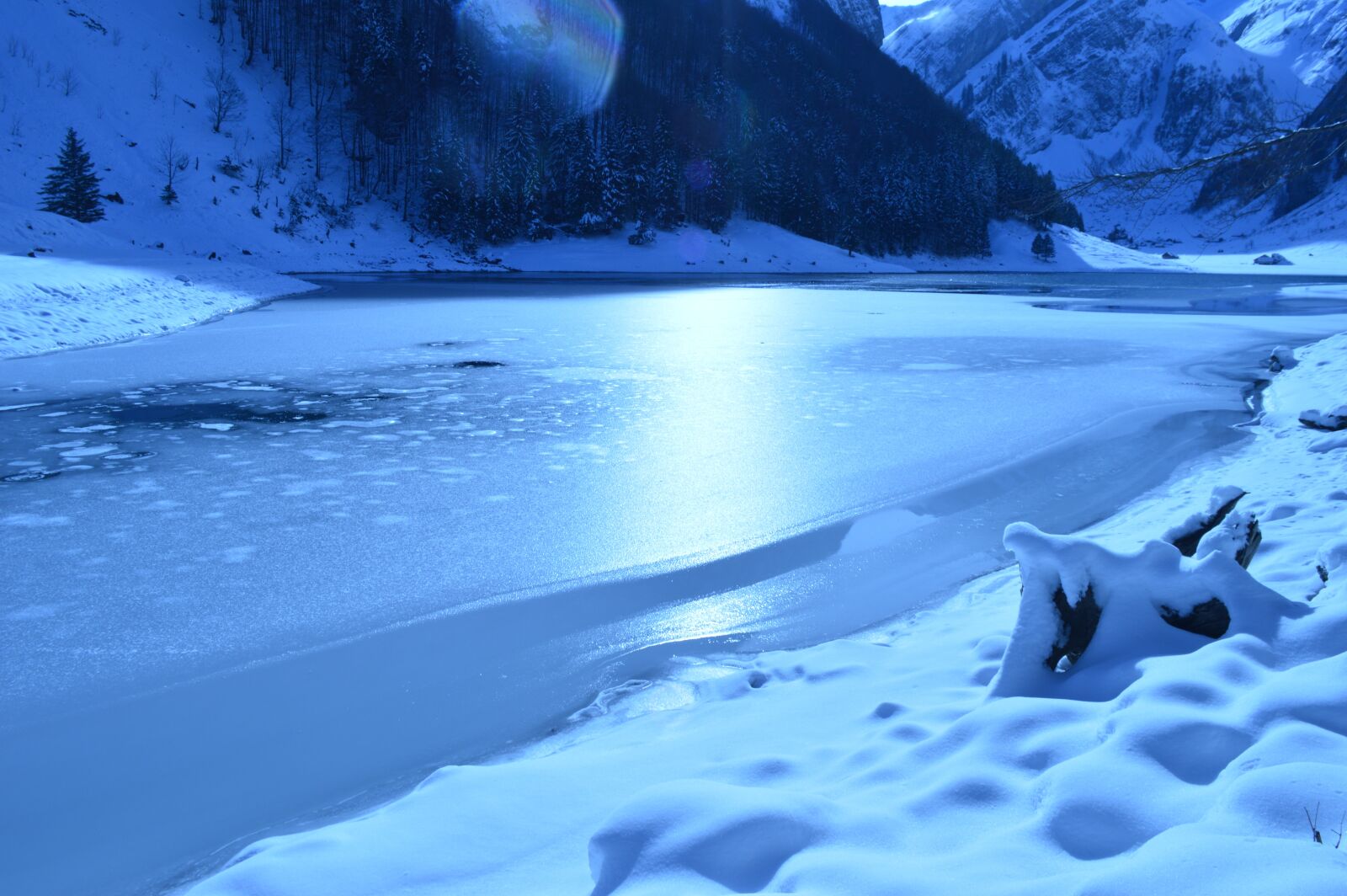 Nikon D3200 sample photo. Nature, winter, snow photography