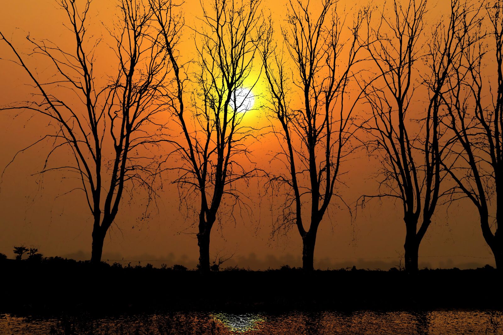 Canon PowerShot G1 X Mark III sample photo. Sunset, nature, canal du photography