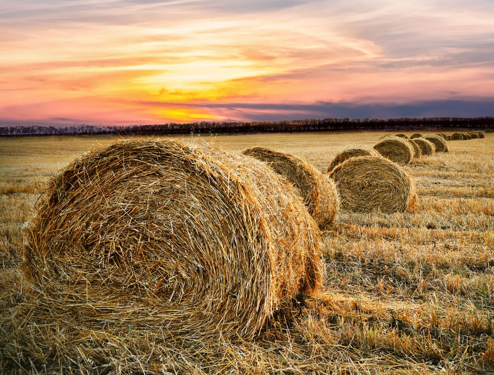 Nikon D5000 sample photo. Hay bale, countryside, farm photography