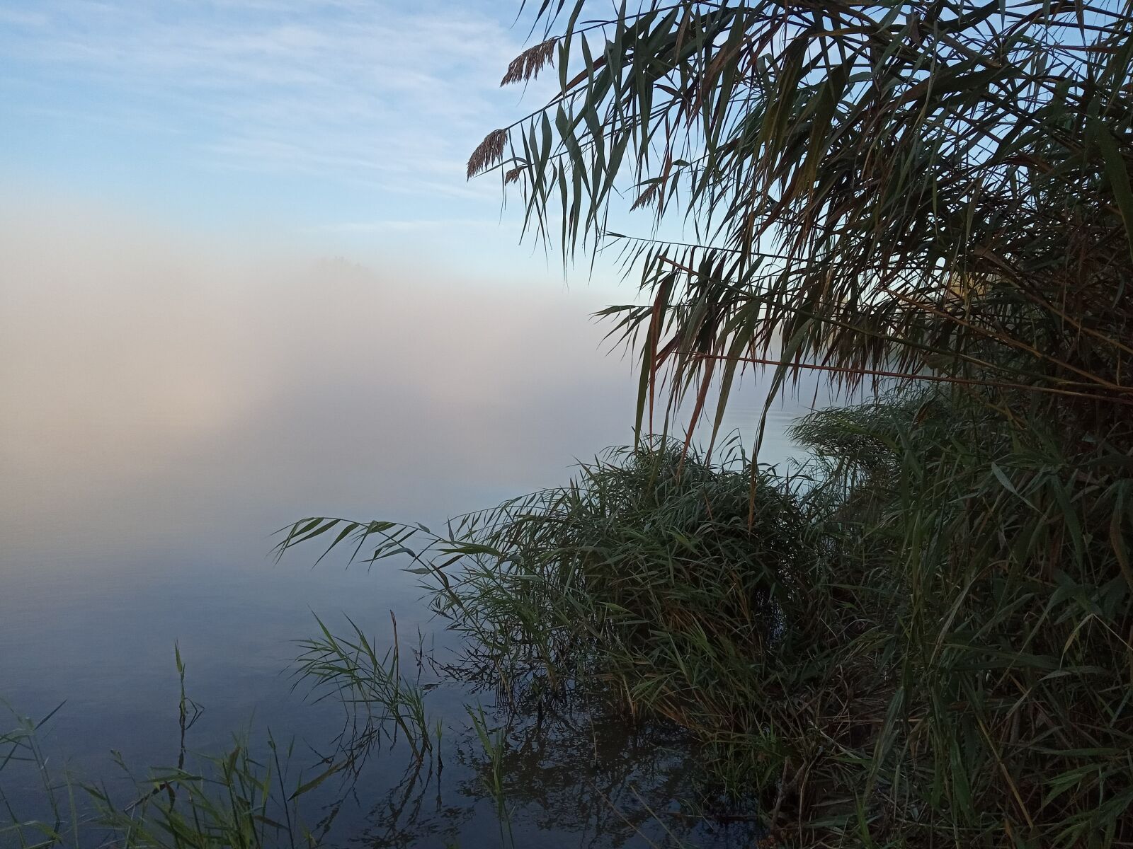 Xiaomi Redmi 6A sample photo. река, туман, природа photography
