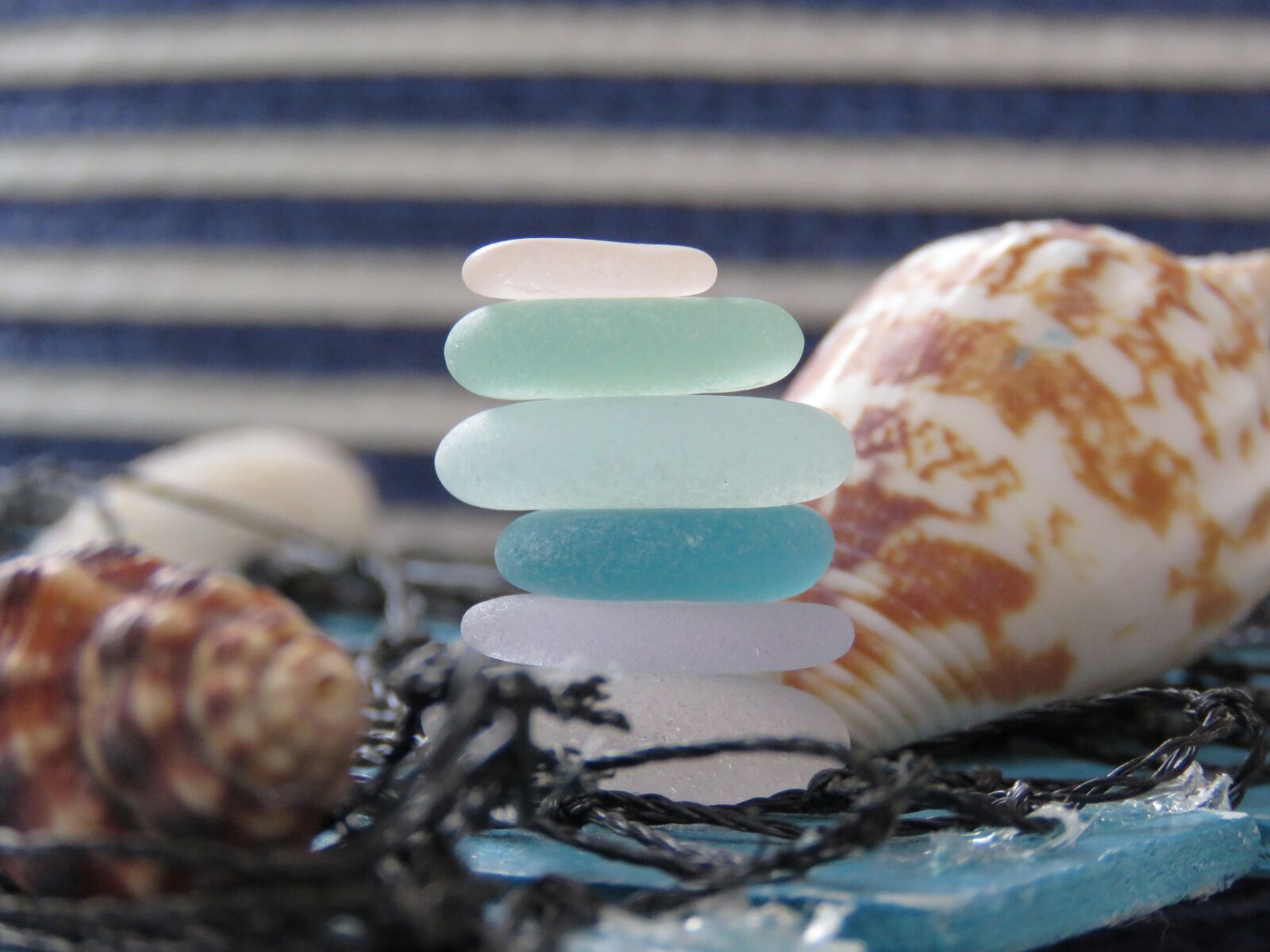Canon PowerShot SX60 HS sample photo. Zeeglas, stack, shell photography