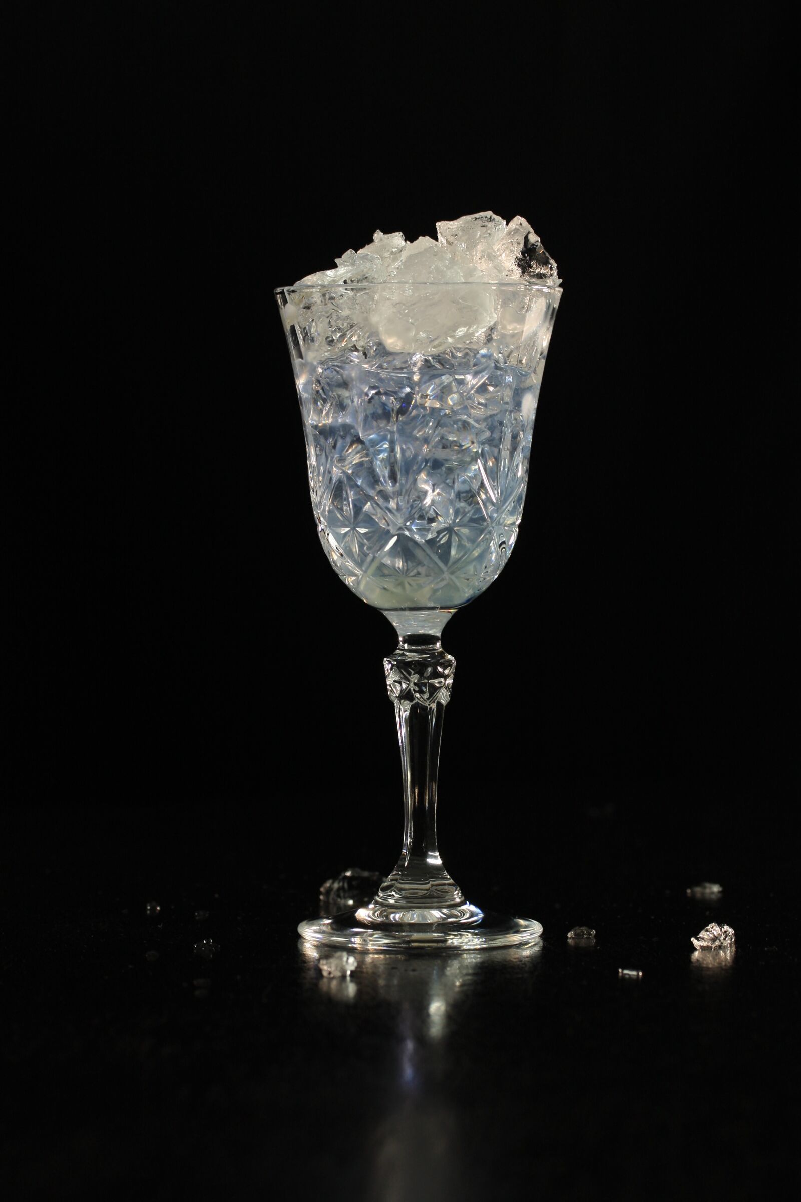 Canon EOS 40D sample photo. Gin and tonic, gin photography