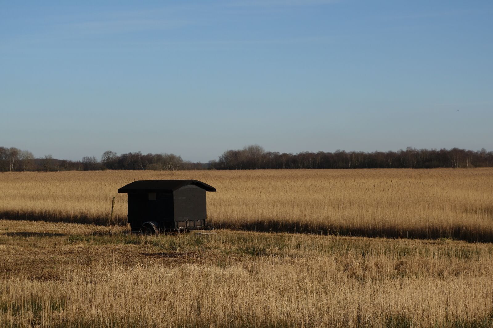 Sony Cyber-shot DSC-RX100 II sample photo. Landscape, the wieden, the photography
