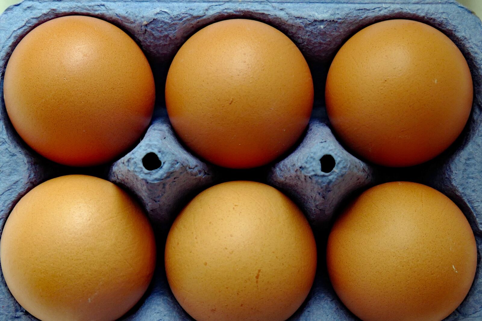 Vario-Elmar TL 1:3.5-5.6 / 18-56 ASPH. sample photo. Egg, brown, food photography