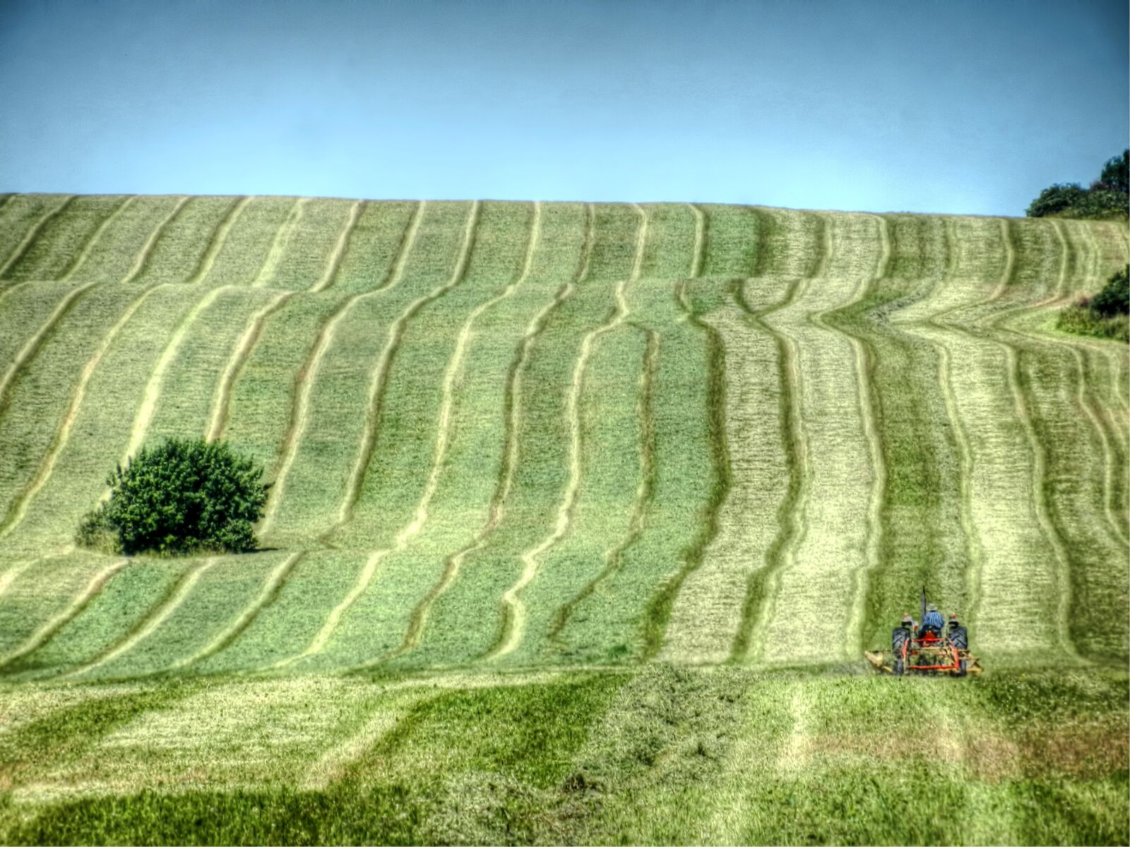 Nikon Coolpix S9100 sample photo. Farm, fields, agriculture photography