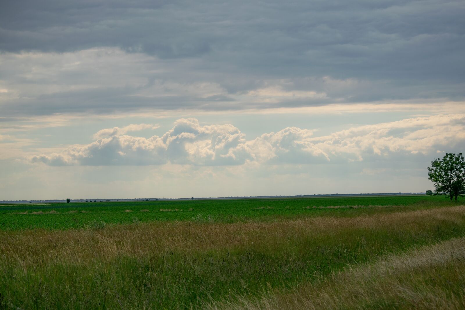 Nikon D3300 sample photo. Field, clouds, nature photography
