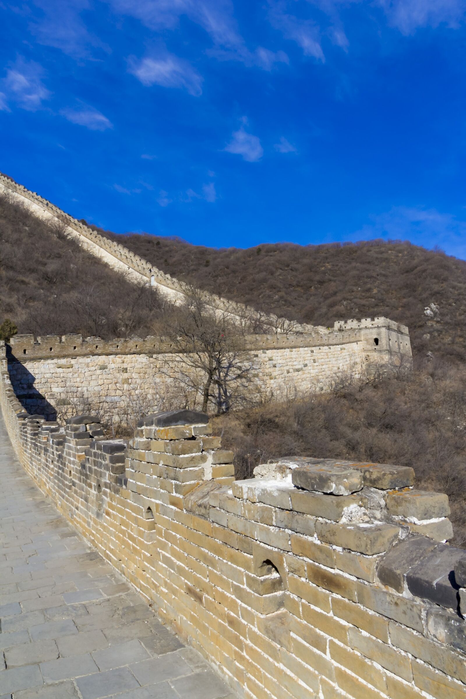 Canon EOS 60D sample photo. China, beijing, the great photography