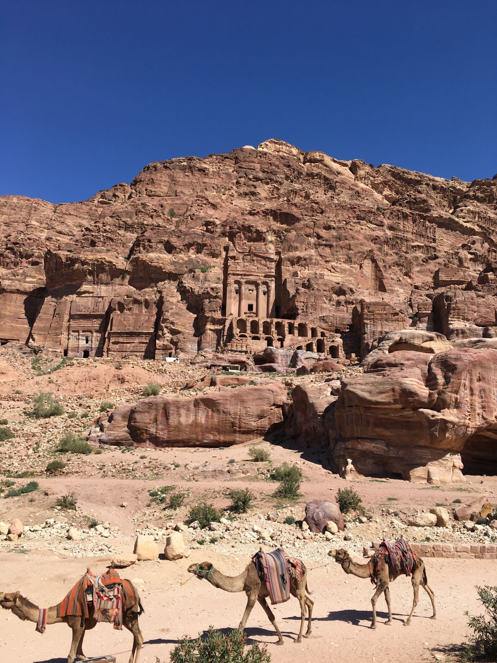 iPhone SE back camera 4.15mm f/2.2 sample photo. Ancient, city, archaeological, camels photography