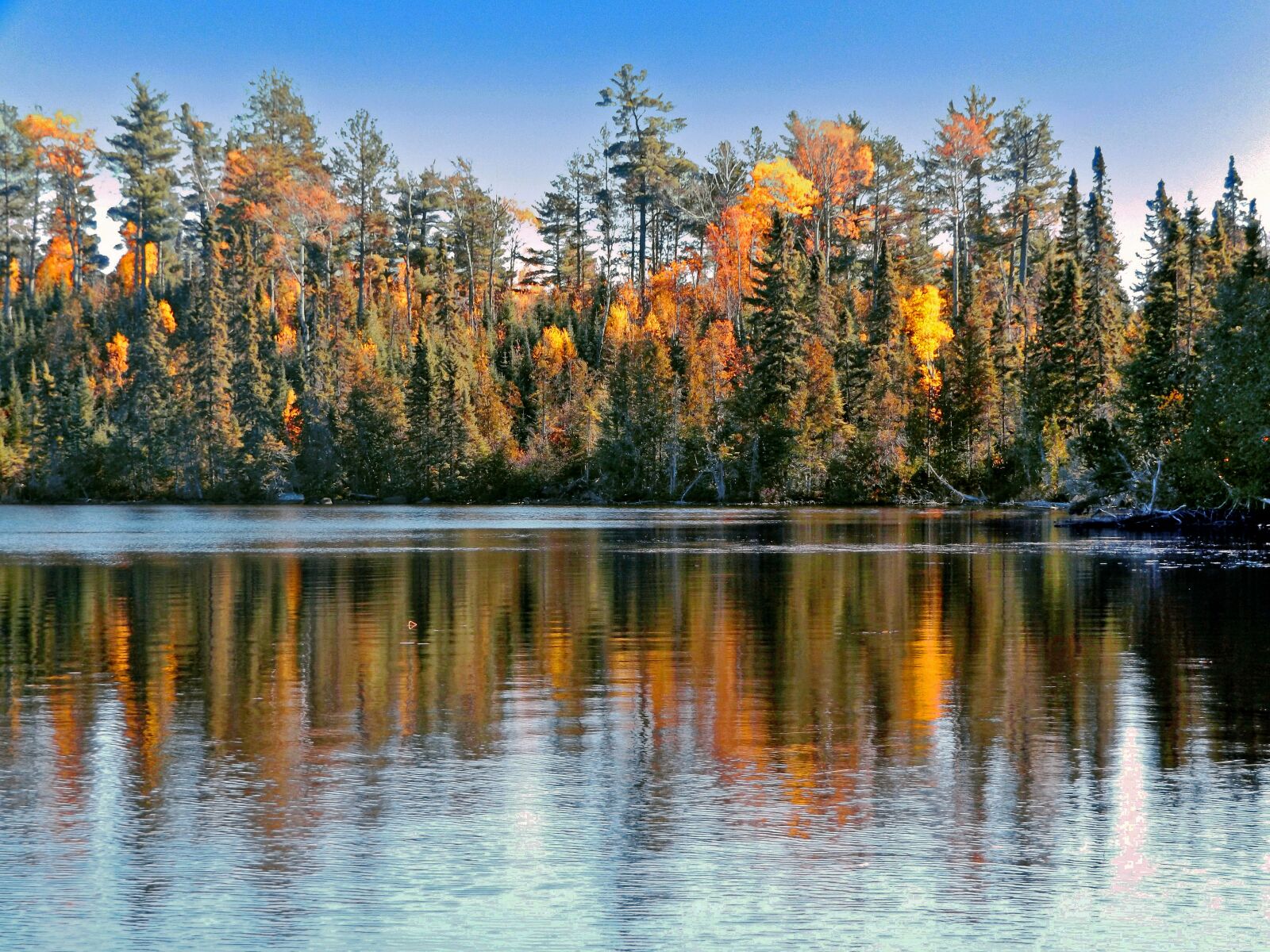 Fujifilm FinePix S8600 sample photo. Reflection, autumn, lake photography