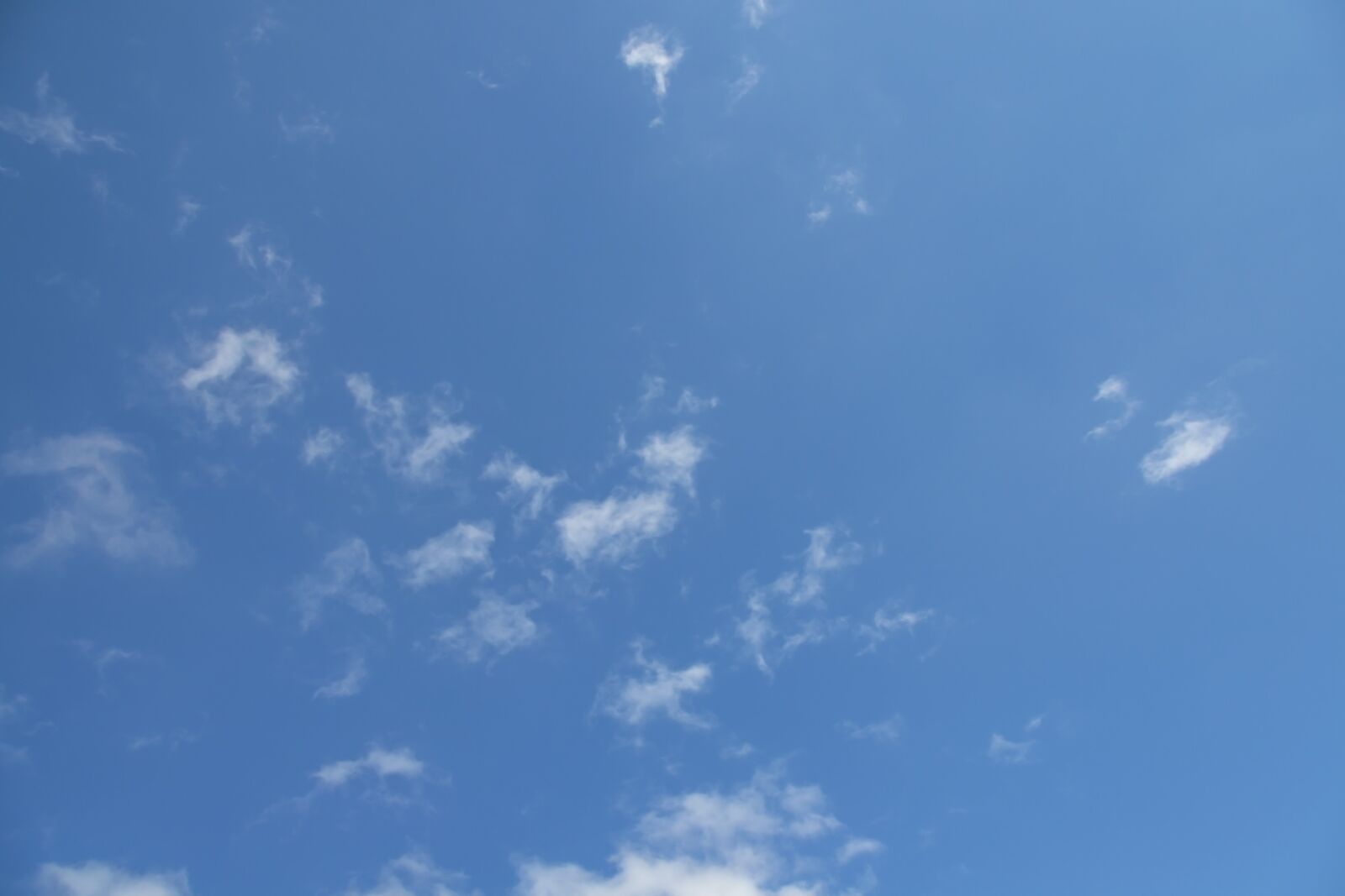 Nikon D3100 sample photo. Sky, blue, white photography