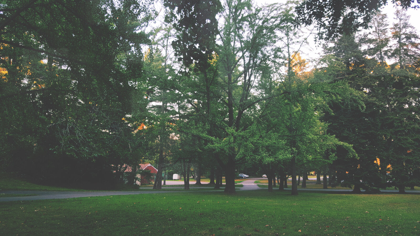 Samsung Galaxy Note5 sample photo. Branch, calm, chill, daylight photography