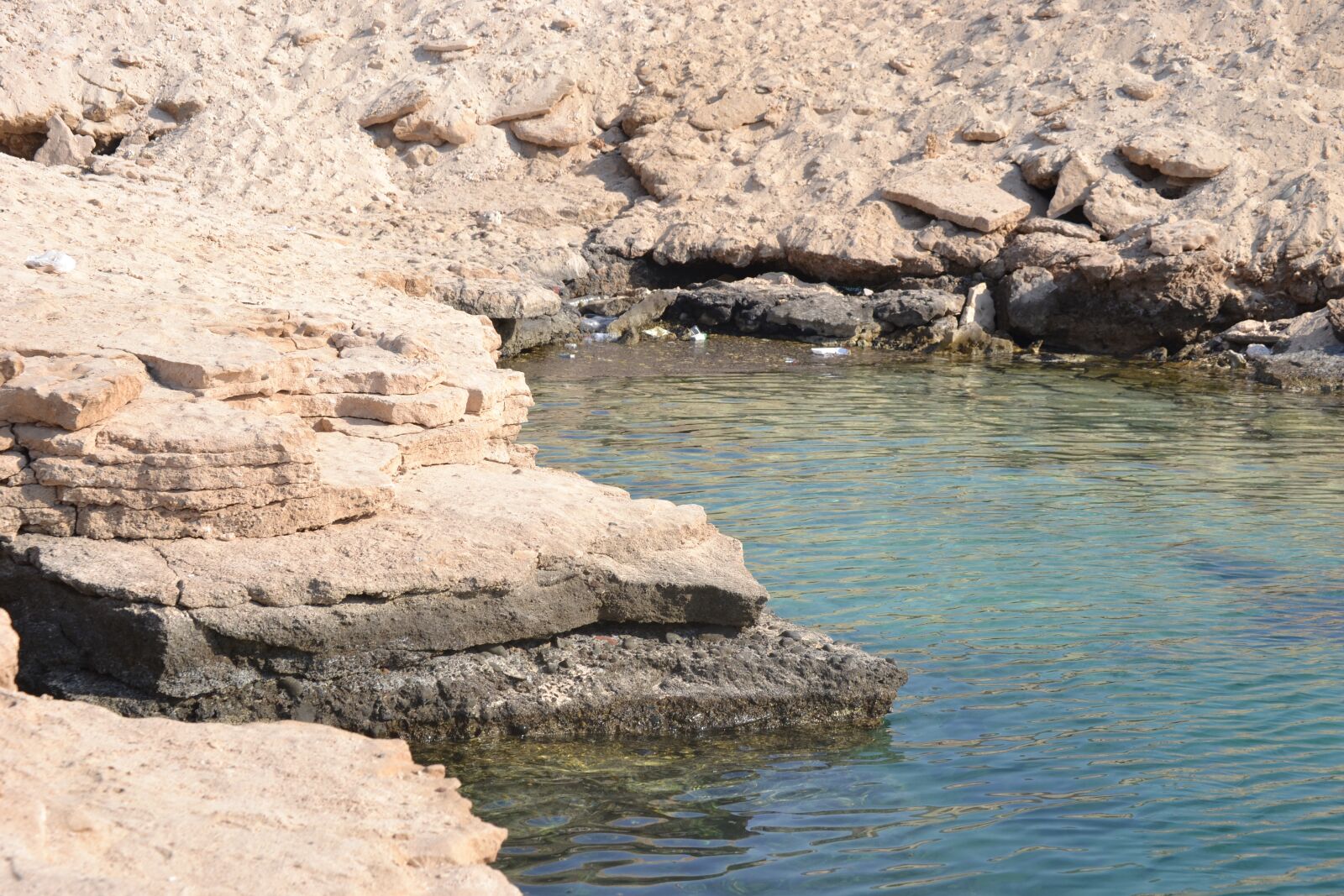 Nikon D3100 sample photo. Blue, edge, nature photography
