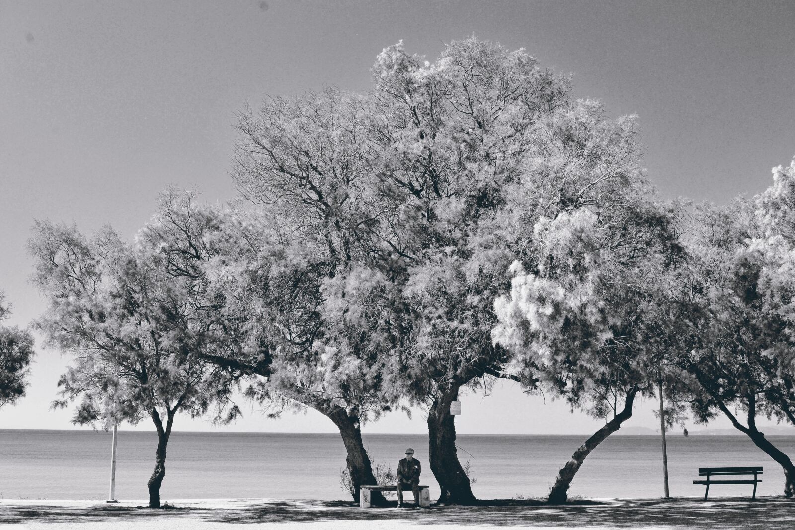 Nikon D3100 sample photo. Black and white lasndscape photography