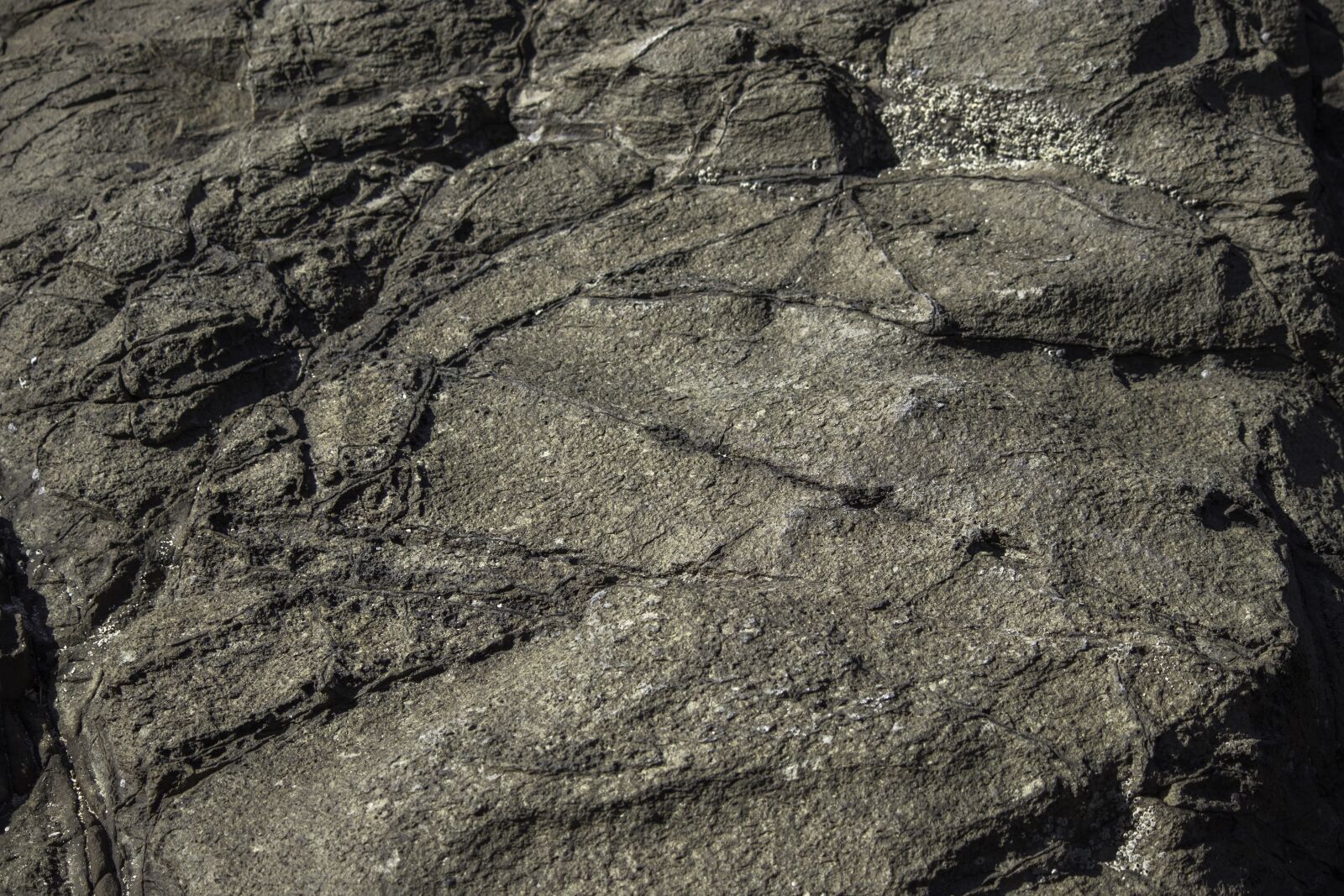 Canon EF-S 55-250mm F4-5.6 IS sample photo. Texture, rock, stone photography