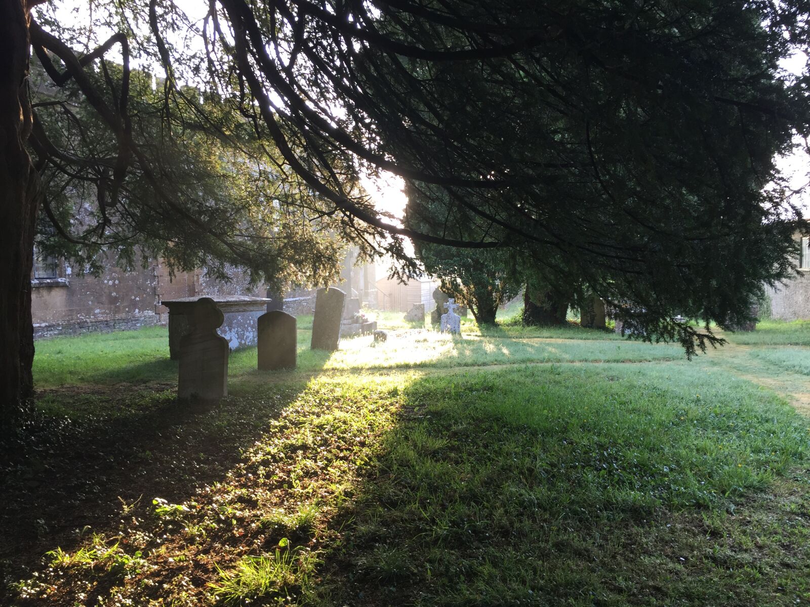 Apple iPhone 6 sample photo. Morning mist, dorset, churchyard photography
