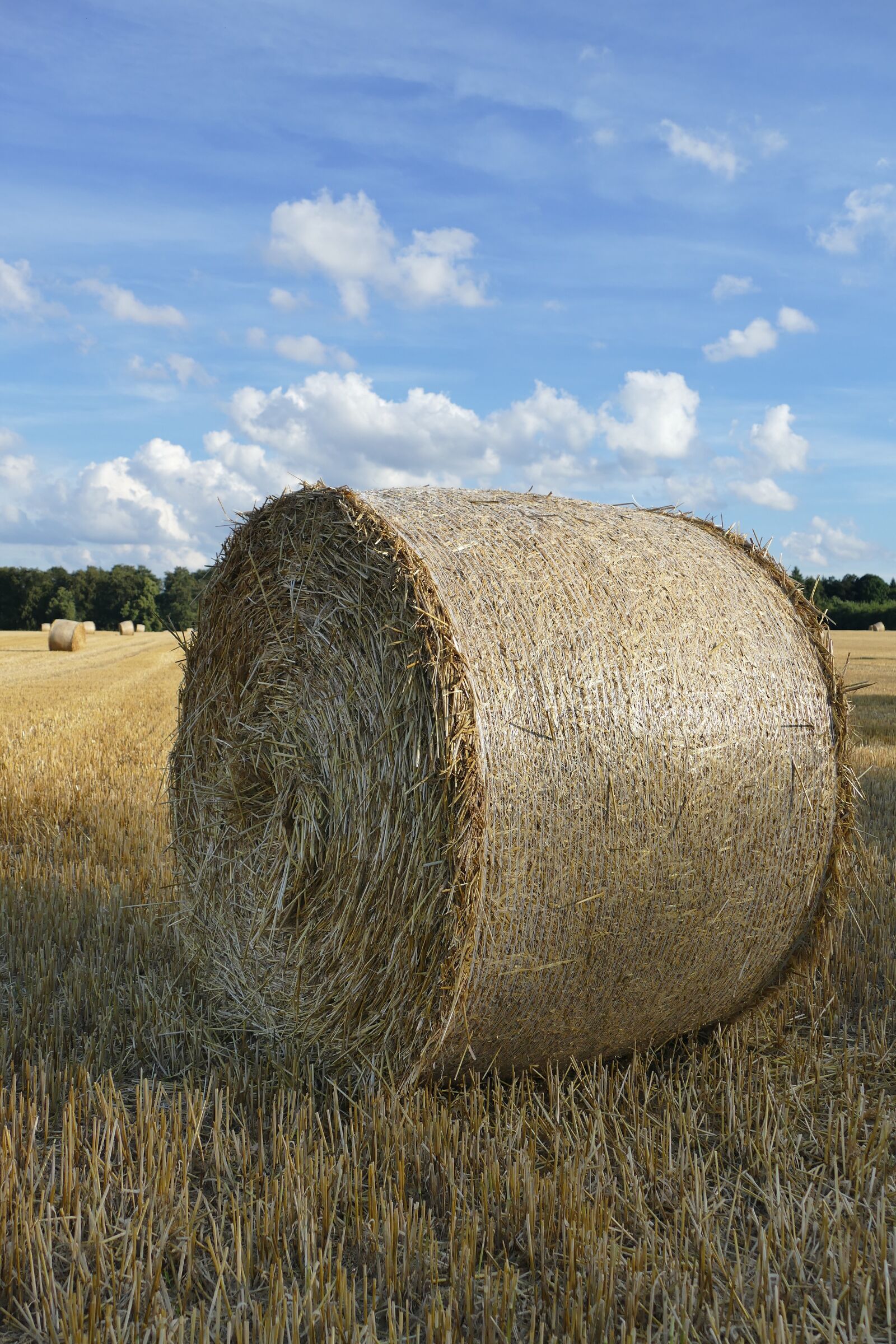 Panasonic Lumix DMC-FZ1000 sample photo. Nature, hay bales, arable photography