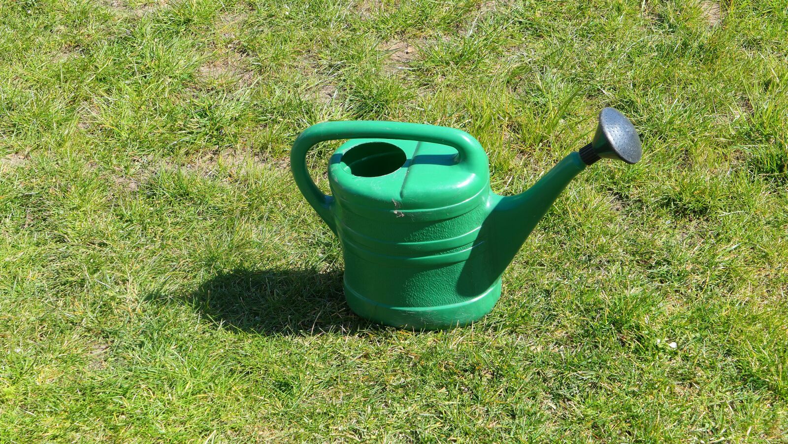 Panasonic Lumix DMC-LX10 (Lumix DMC-LX15) sample photo. Watering can, garden, grass photography
