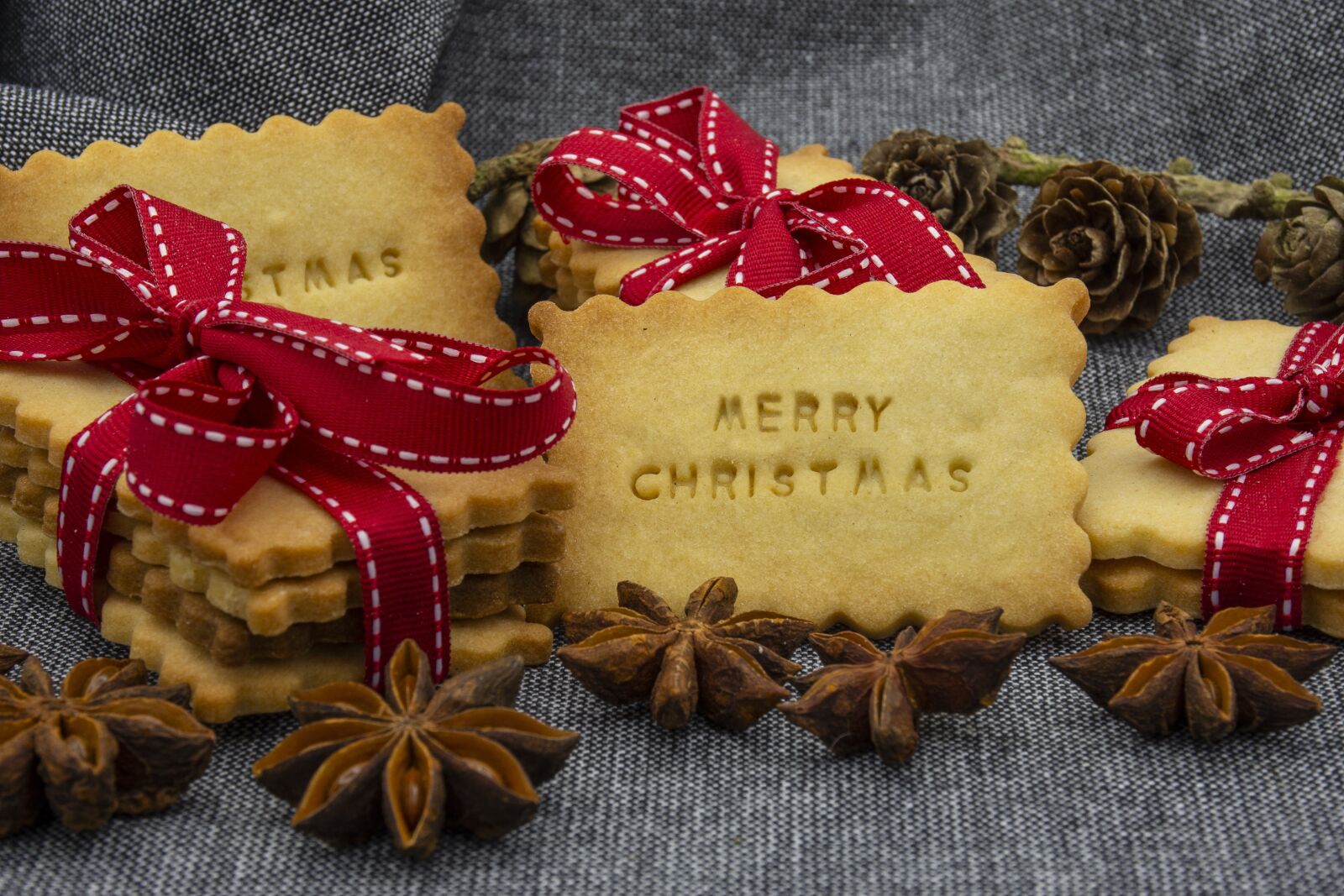 Nikon D7200 sample photo. Christmas, happy holidays, merry photography