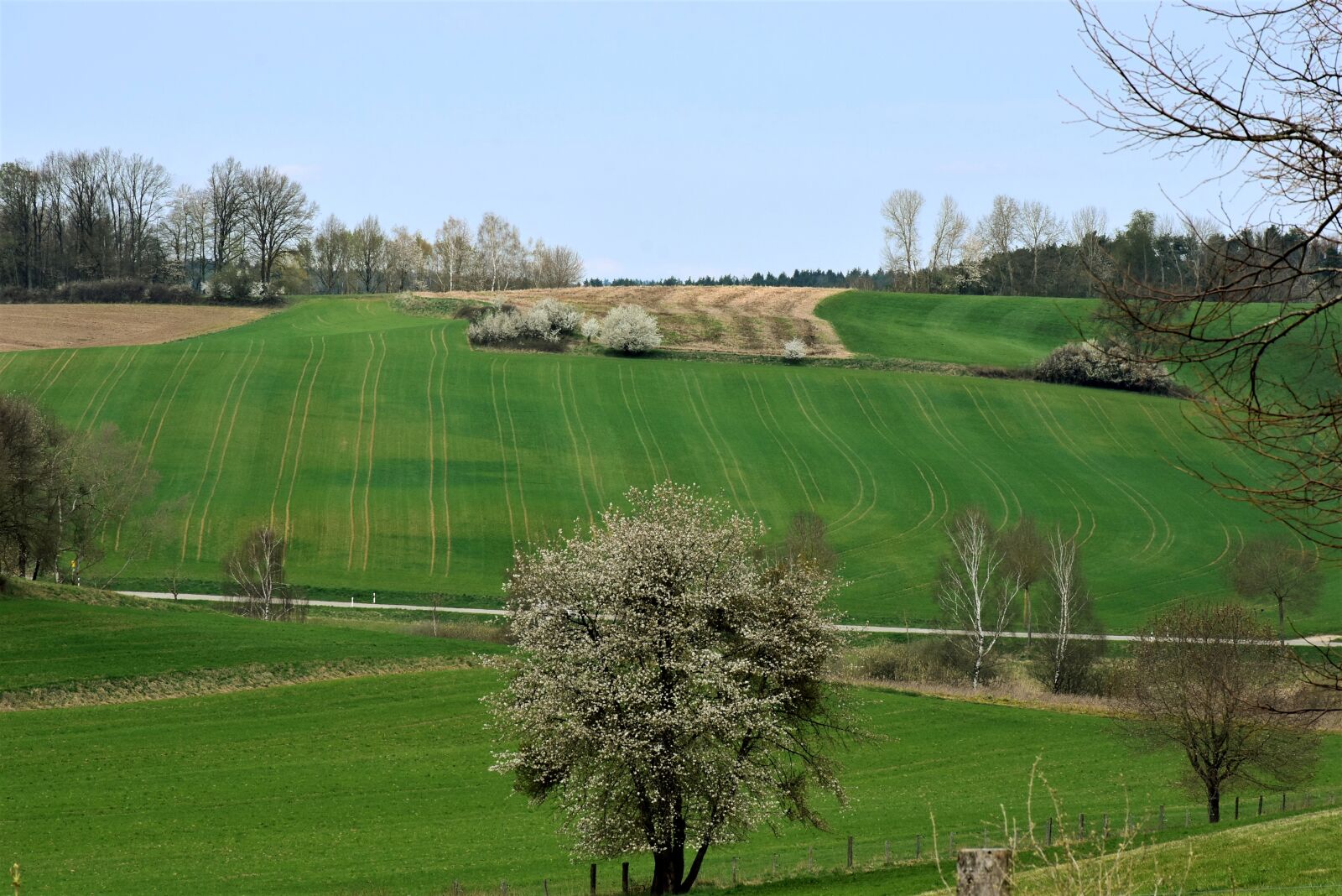 Nikon D7200 sample photo. Landscape, spring, field photography