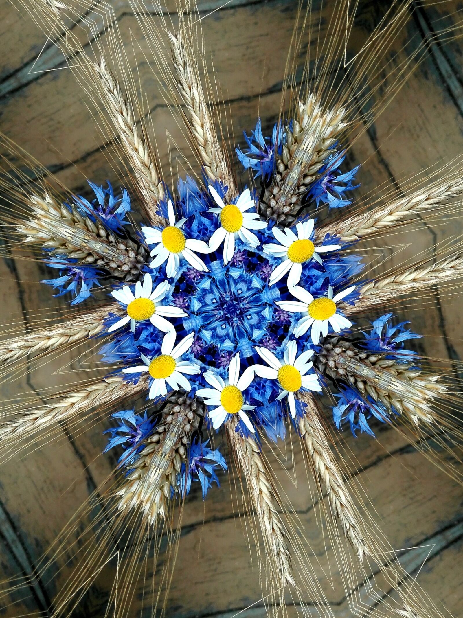 HUAWEI Cherry Mini sample photo. Cornflowers, chamomile, spikes photography