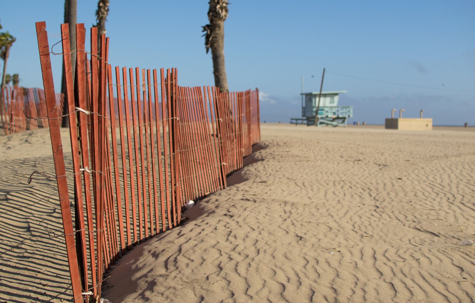 Nikon D3100 sample photo. Los angeles, santa monica photography