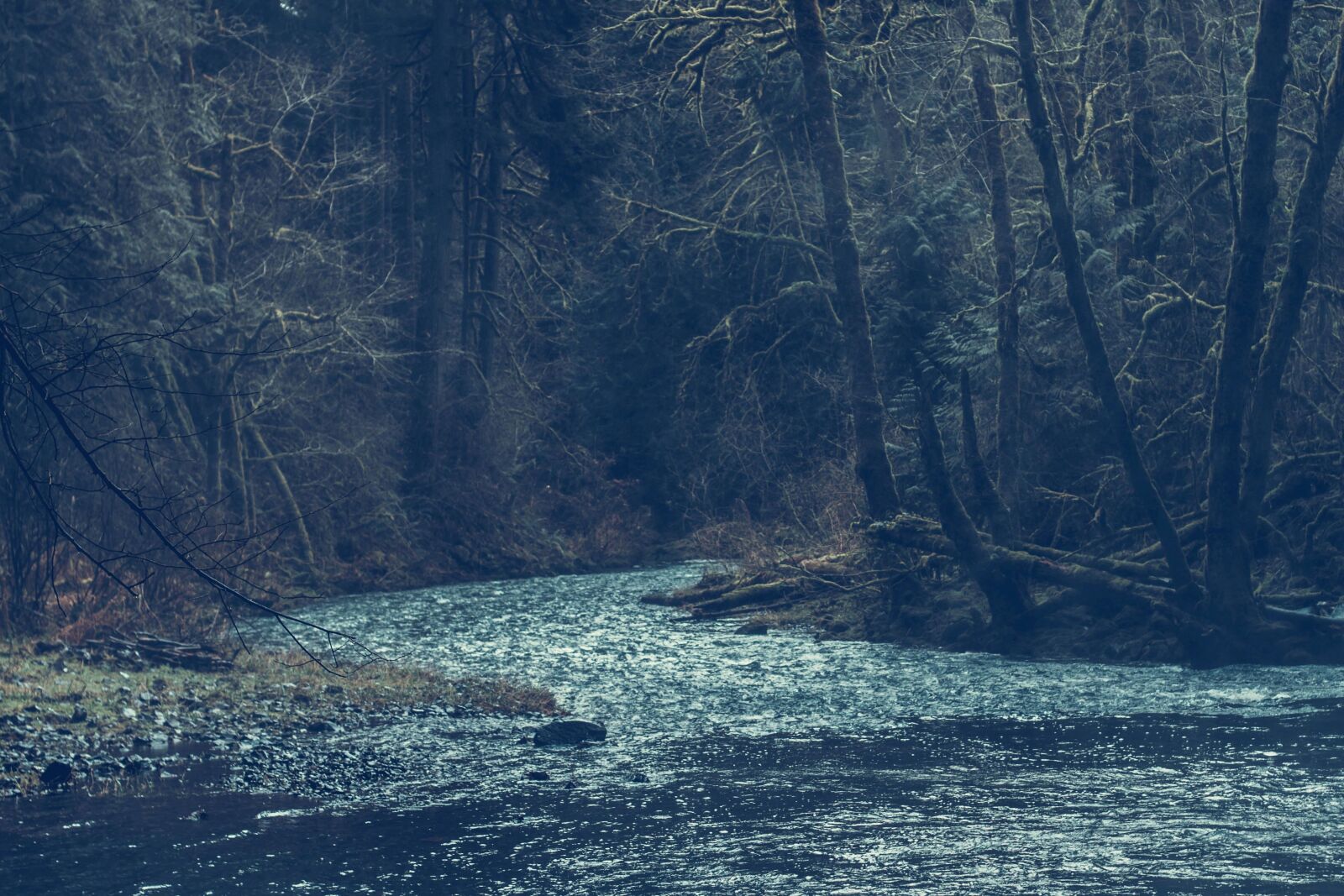 Canon EOS 50D sample photo. Park, river, rocks, tree photography