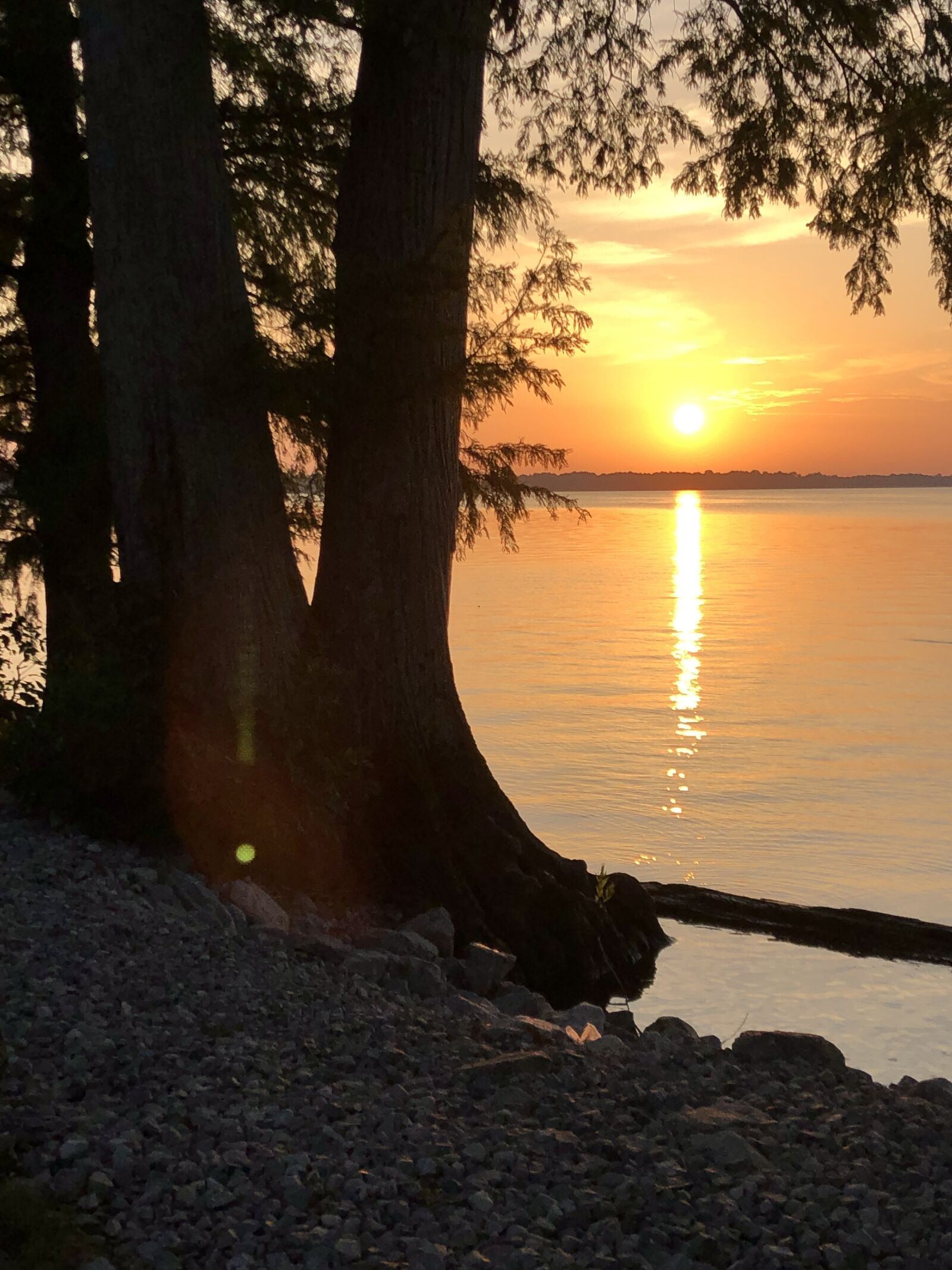 iPhone 8 Plus back dual camera 3.99mm f/1.8 sample photo. Sunset, lake, reelfoot photography