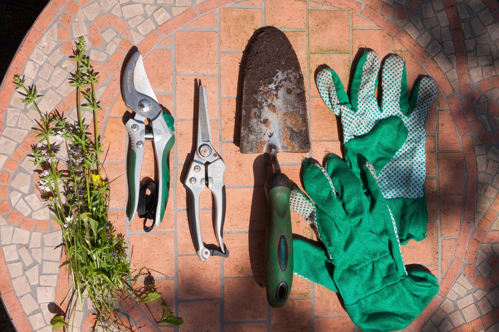 Canon EF-S 17-85mm F4-5.6 IS USM sample photo. Scissors, pruning shears, flowers photography